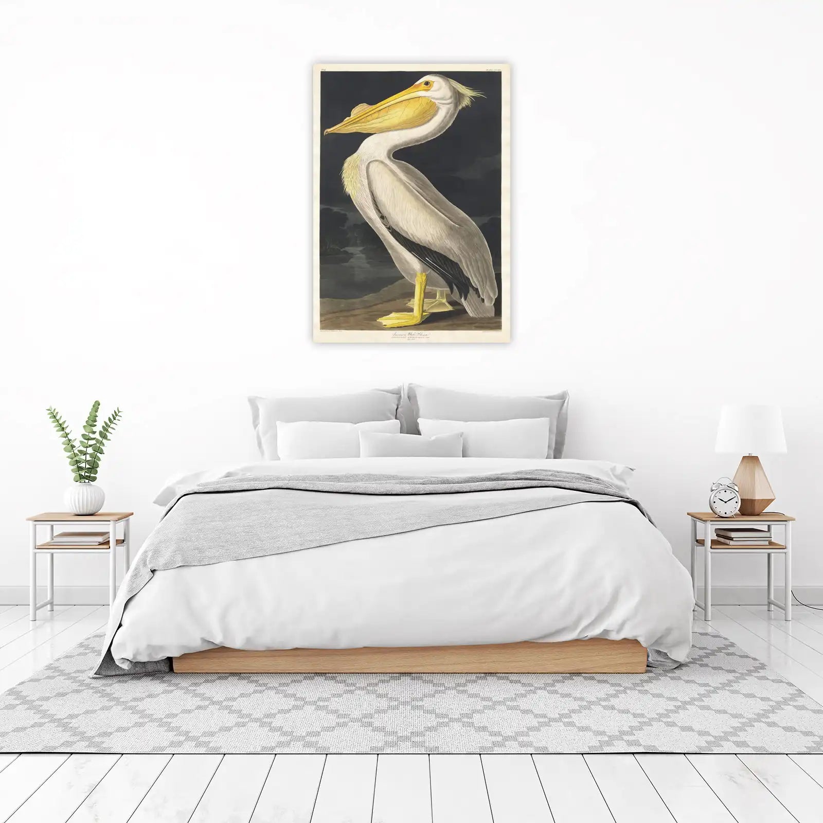 American White Pelican Vintage Bird Art Wall Art