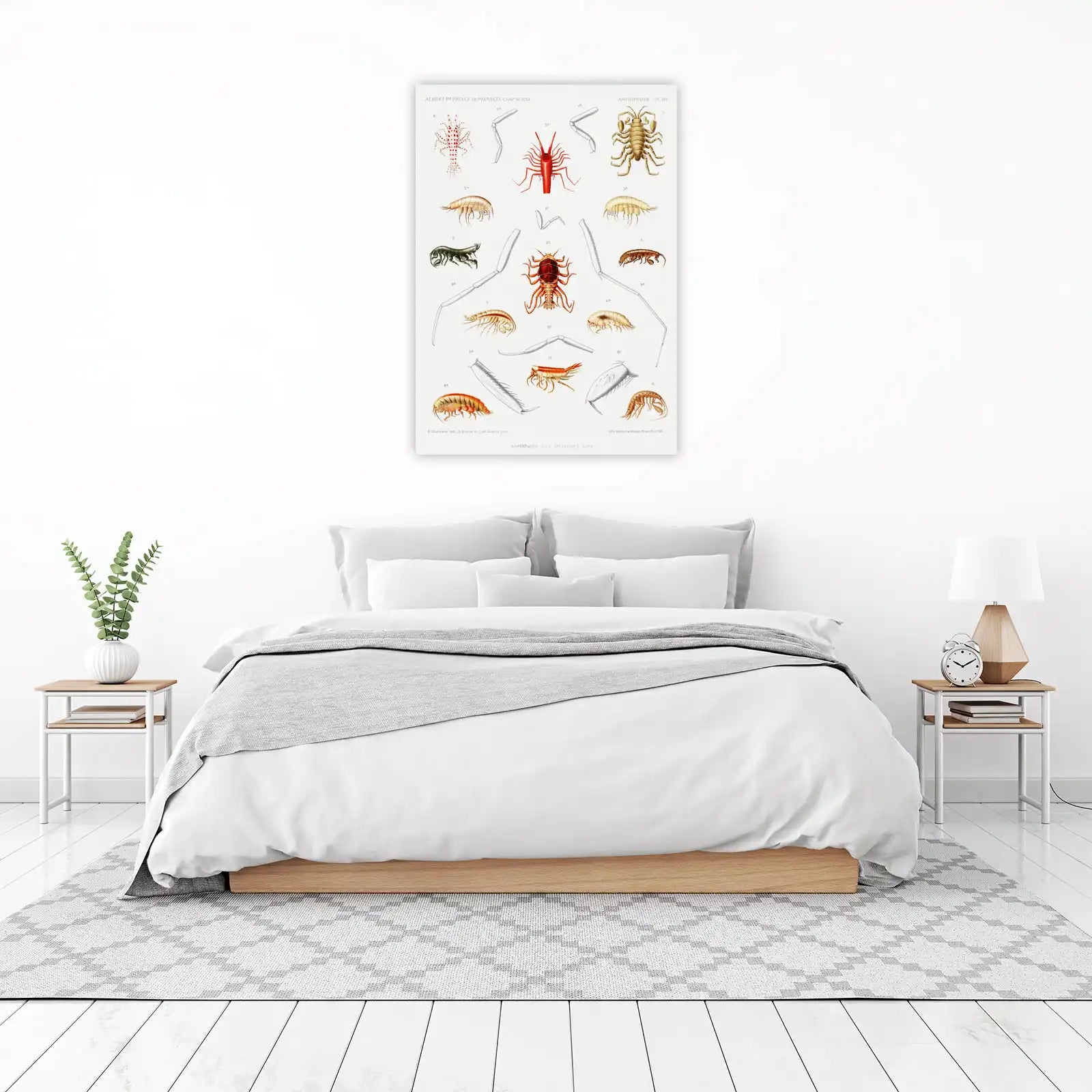 Vintage Amphipod Sea Creature Wall Art