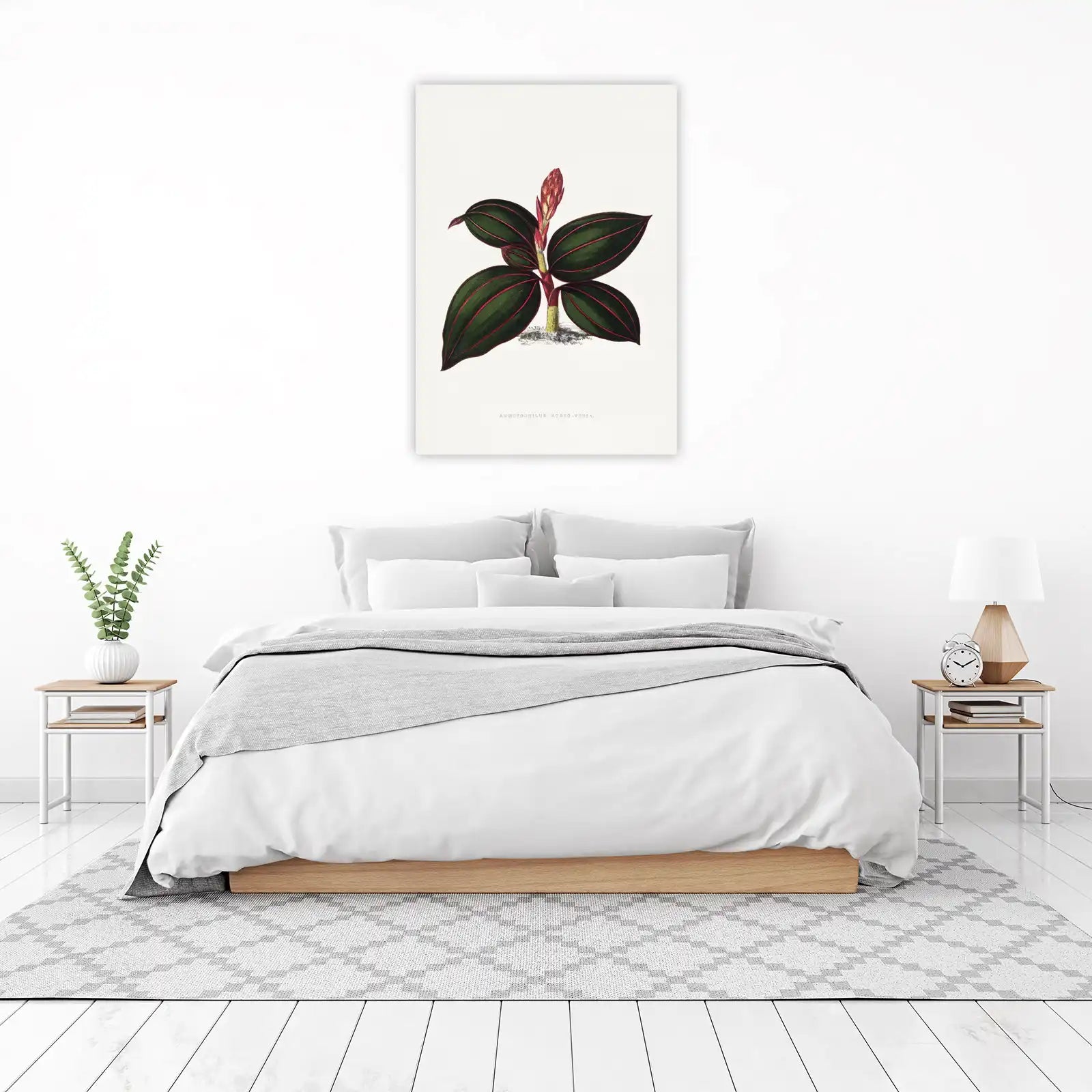 Jewel Orchid Botanical Vintage Wall Art