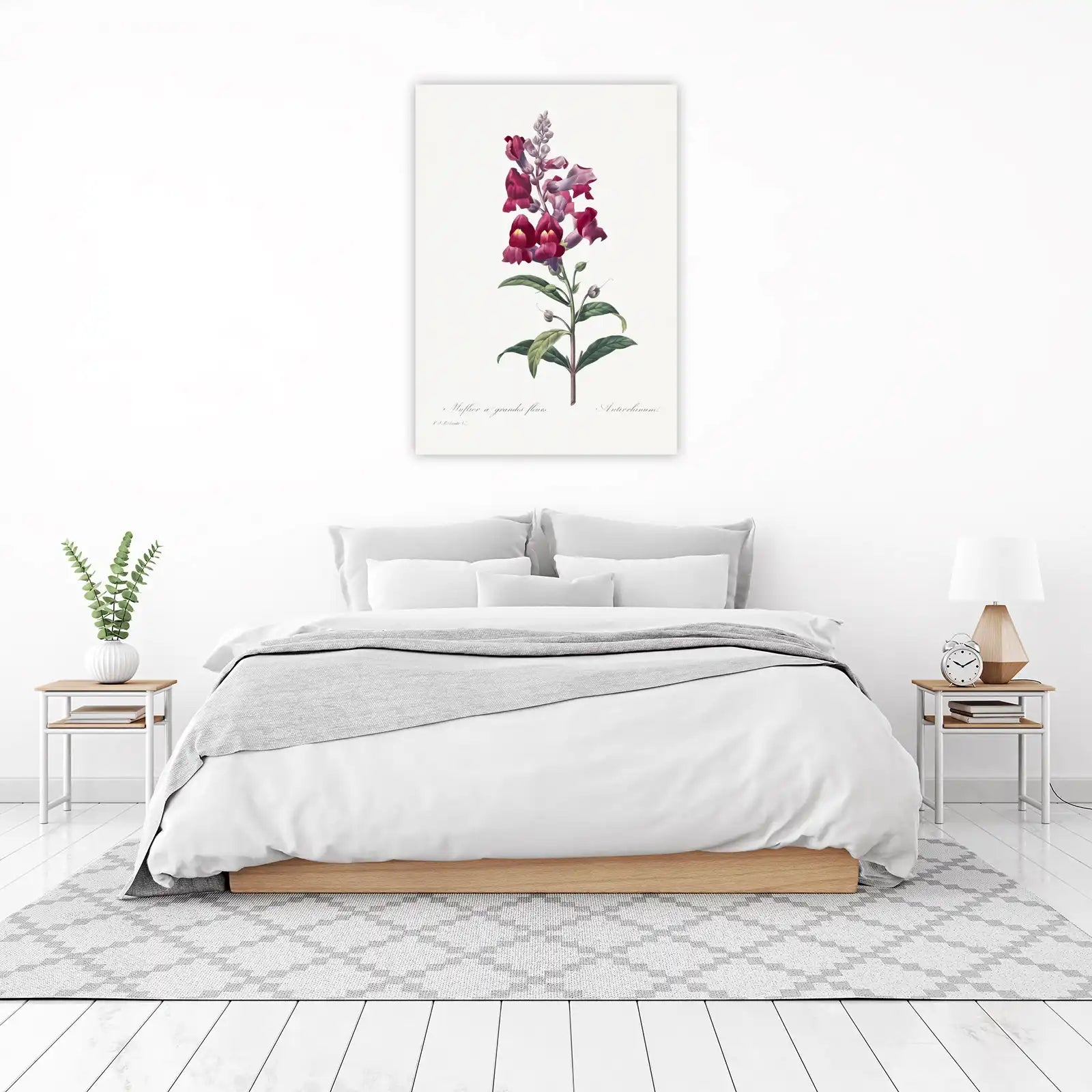 Vintage Botanical Snapdragon Wall Art