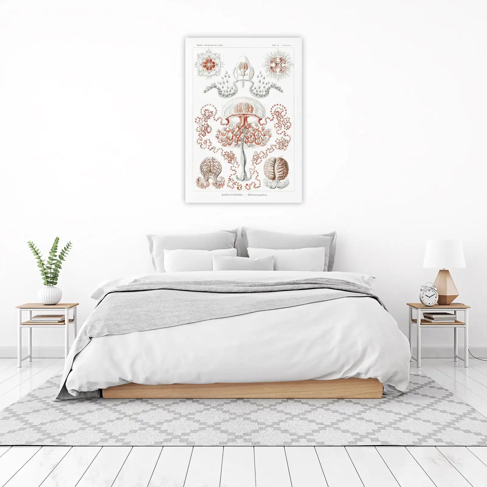 Vintage Jellyfish Botanical Art Wall Art