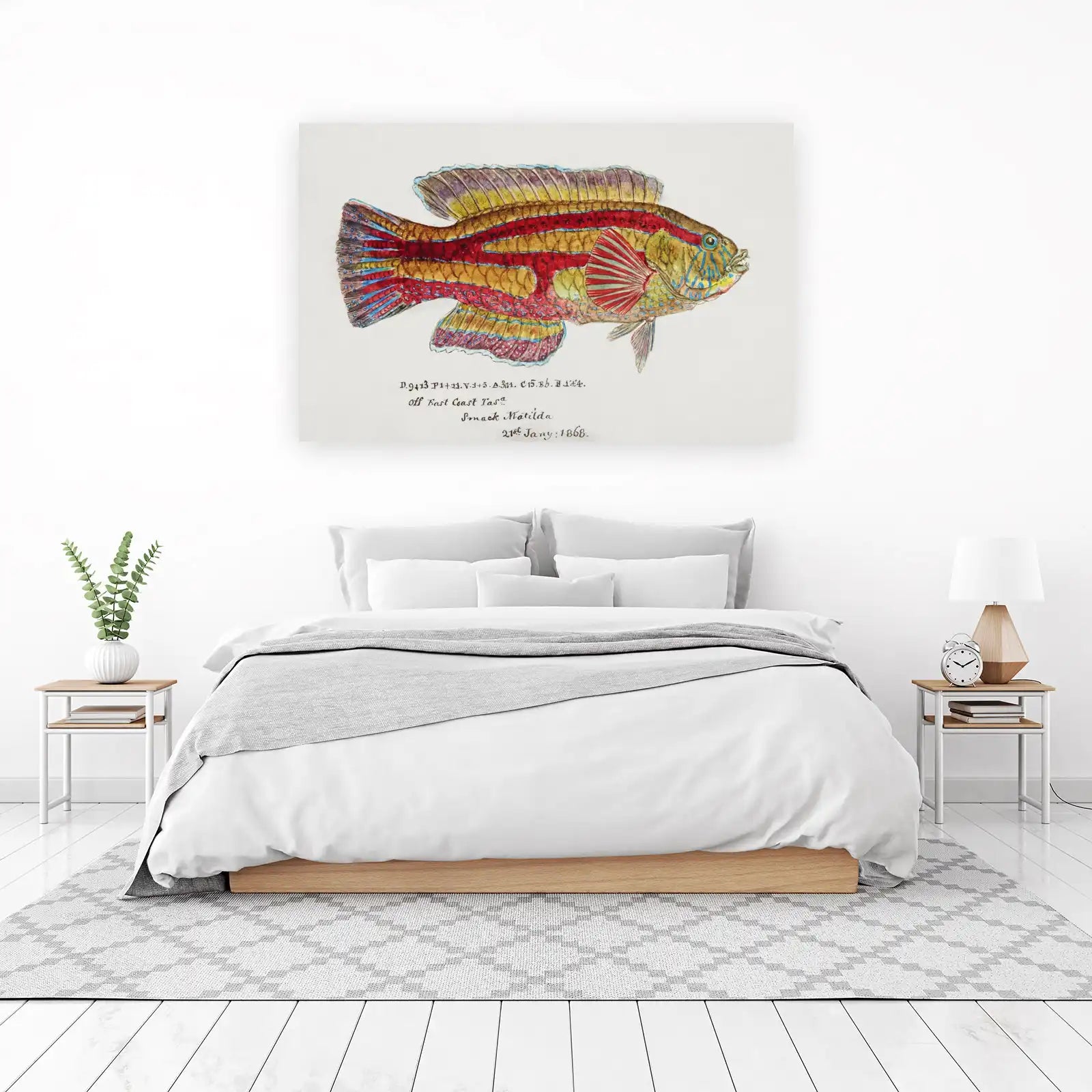 Vintage Marine Life Fish Art Wall Art