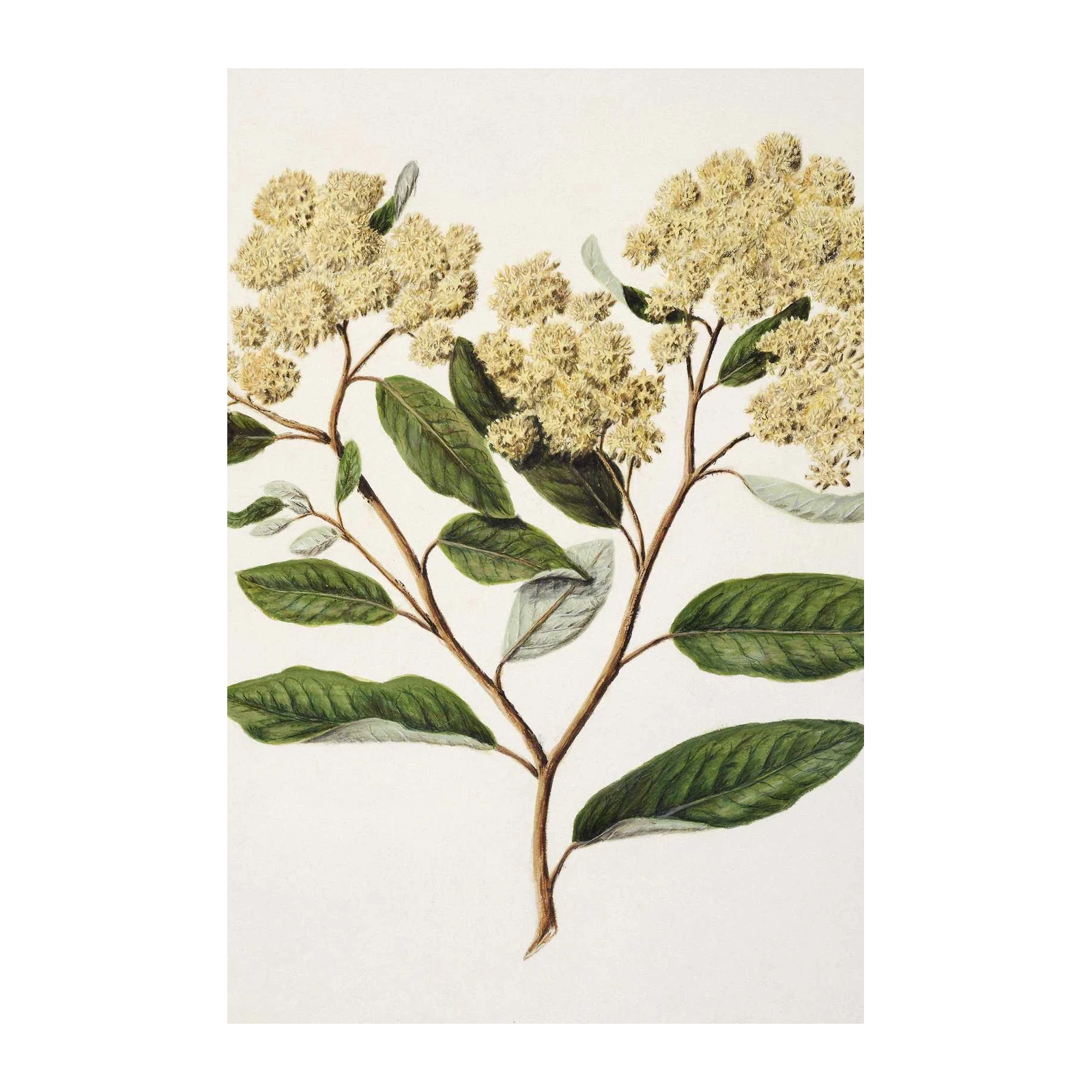 Botanical Blossom Branch Wall Art