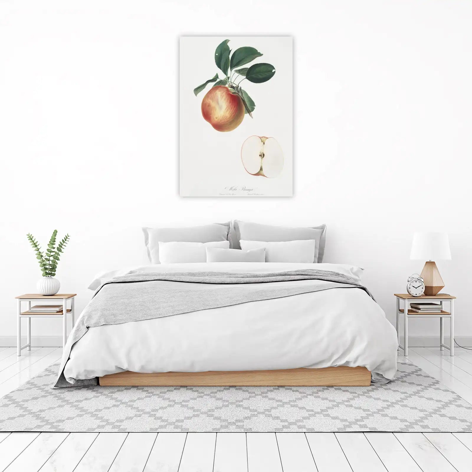 Vintage Apple Botanical Art Wall Art