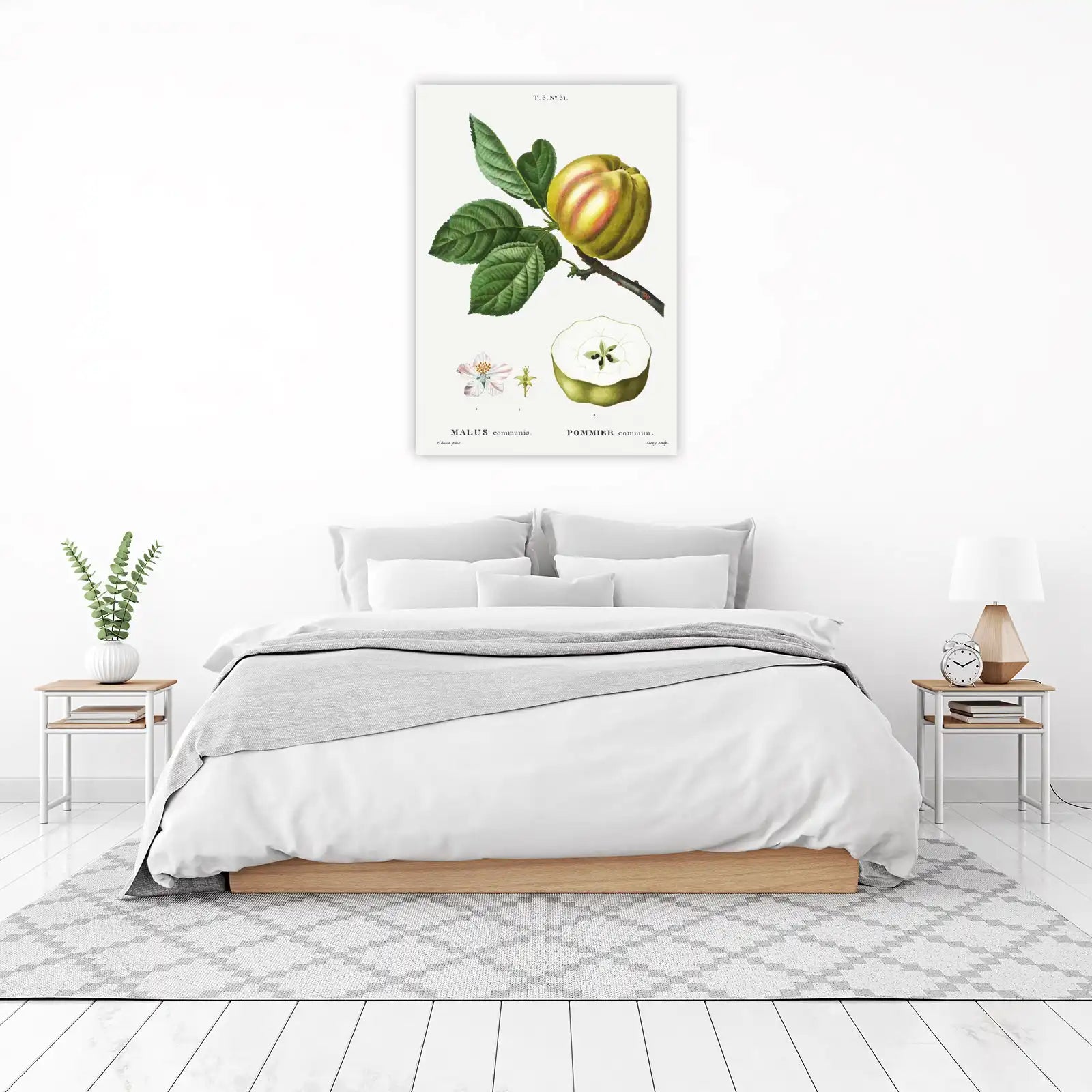 Vintage Apple Botanical Art Wall Art