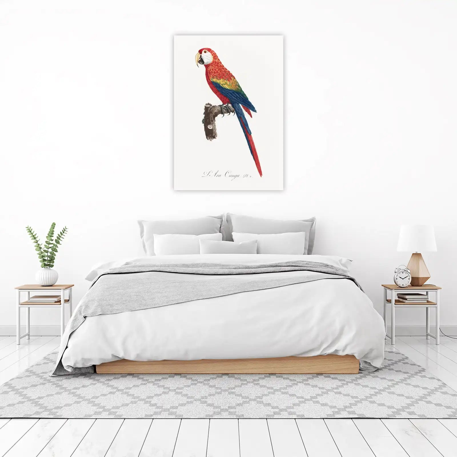 Vibrant Scarlet Macaw Vintage Bird Art Wall Art