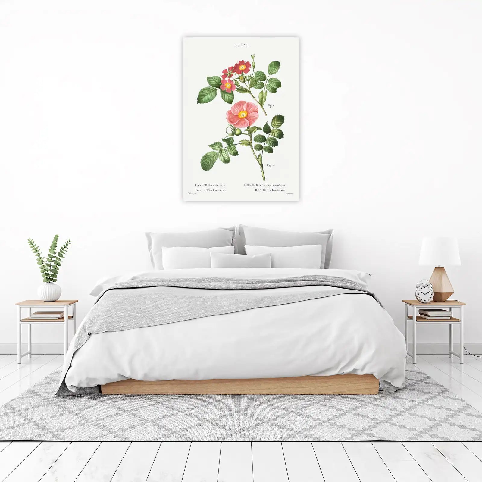 Vintage Botanical Rose Wall Art