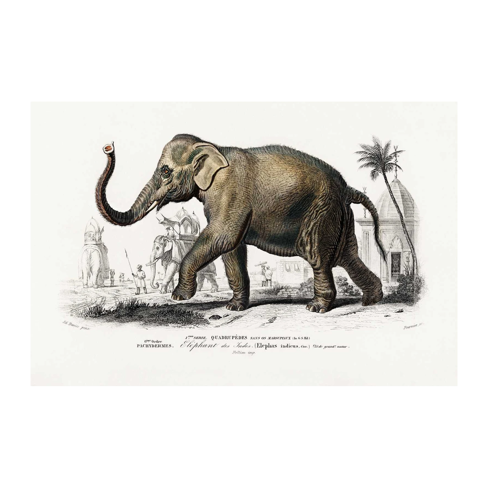 Vintage Elephant Procession Indian Wall Art