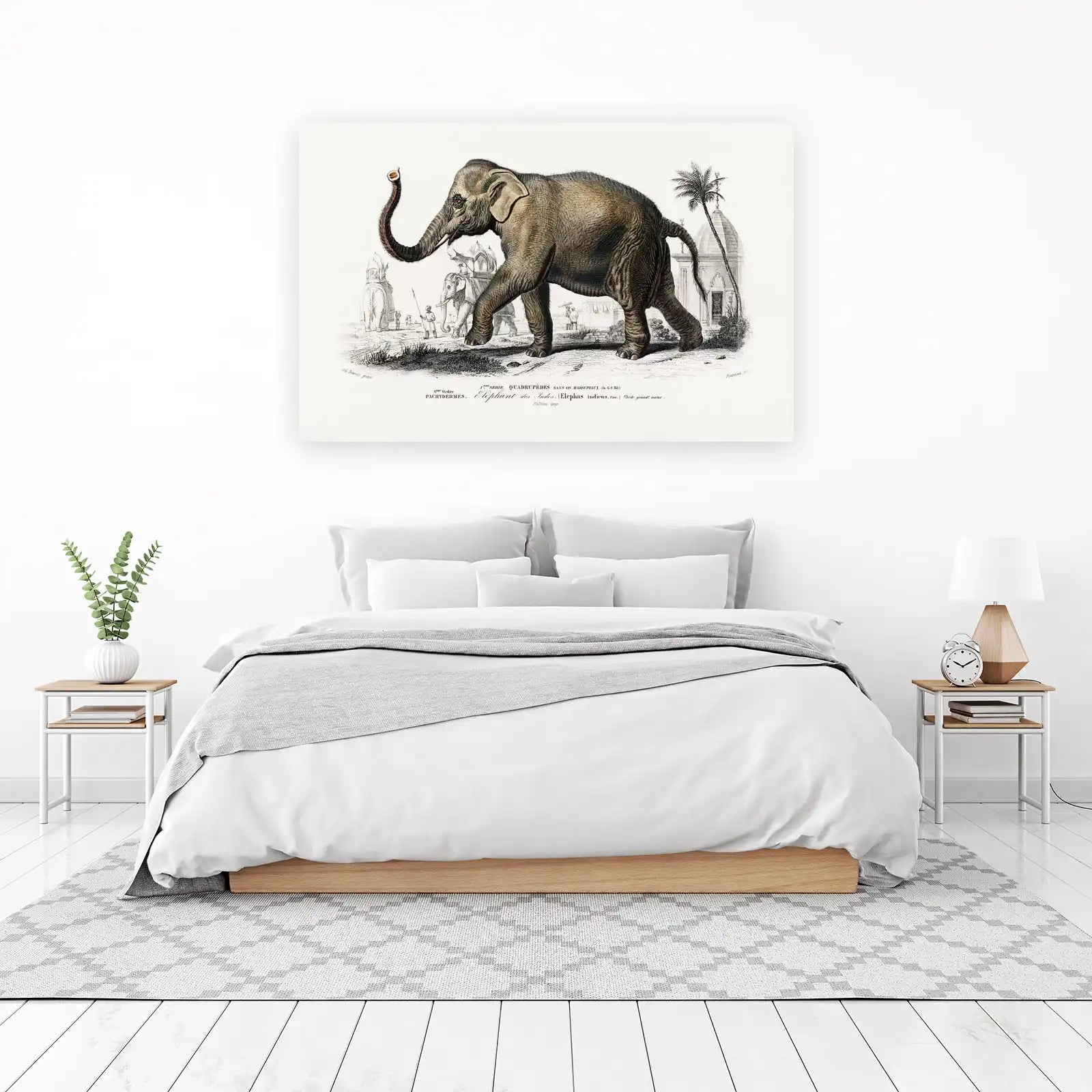 Vintage Elephant Procession Indian Wall Art