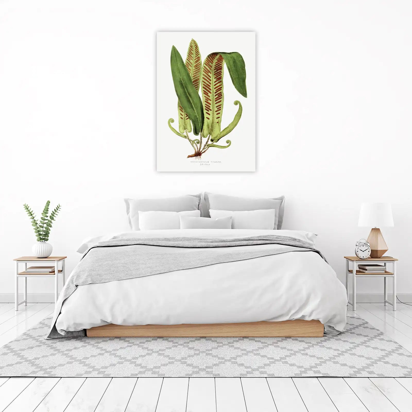 Vintage Fern Botanical Art Wall Art