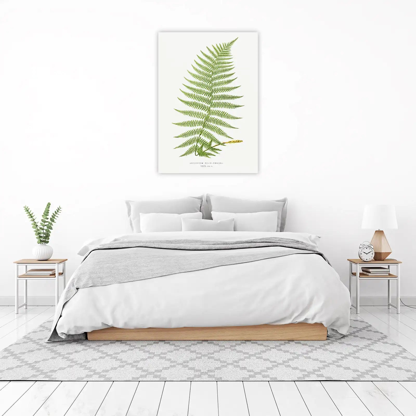 Botanical Fern Art - "Lady Fern" Wall Art