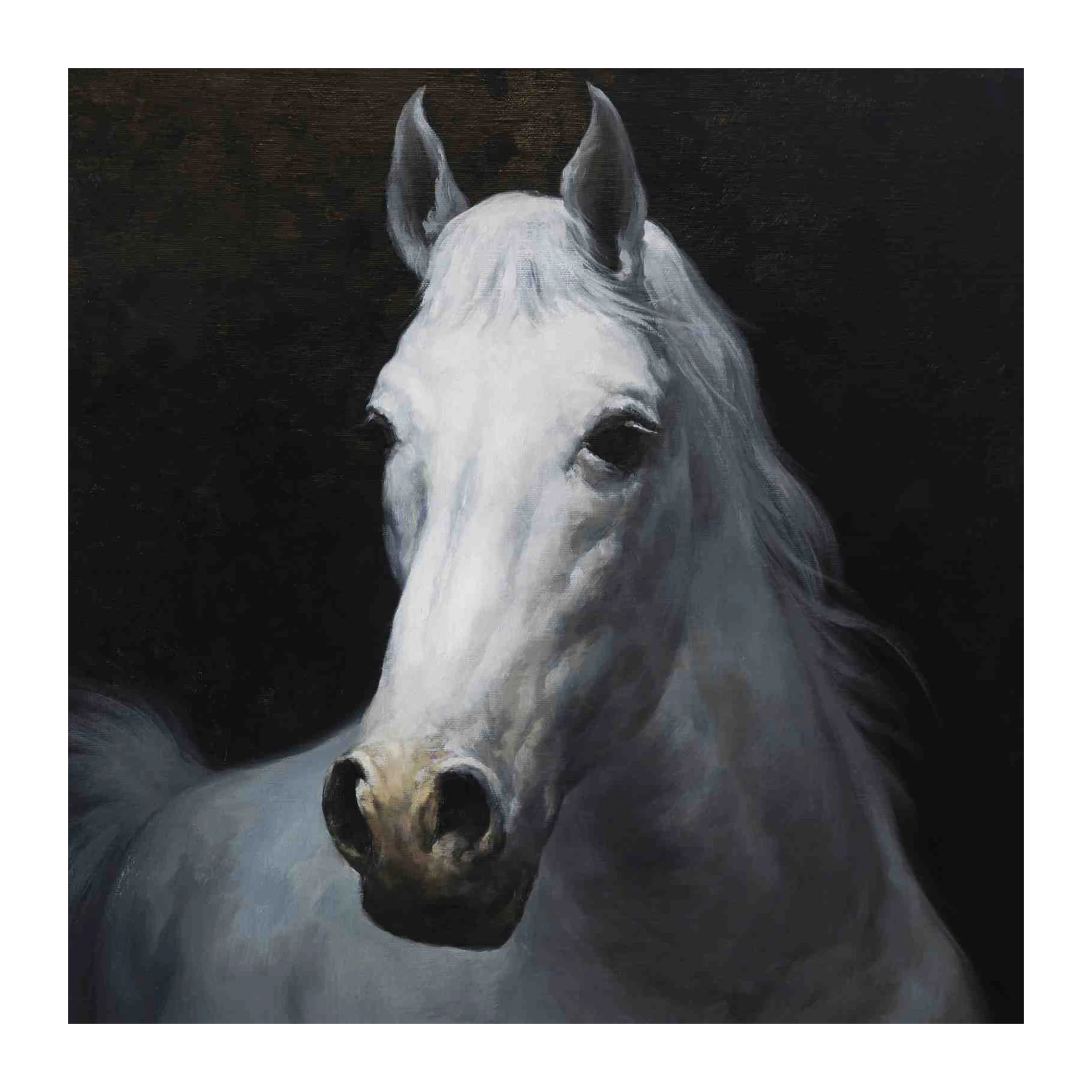 Majestic White Horse Portrait Wall Art
