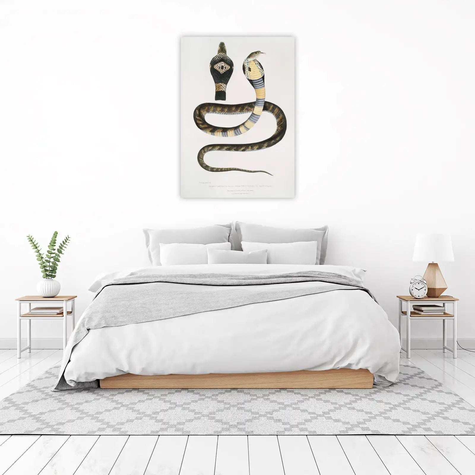 Vintage Cobra Snake Art | Reptile Wall Decor Wall Art