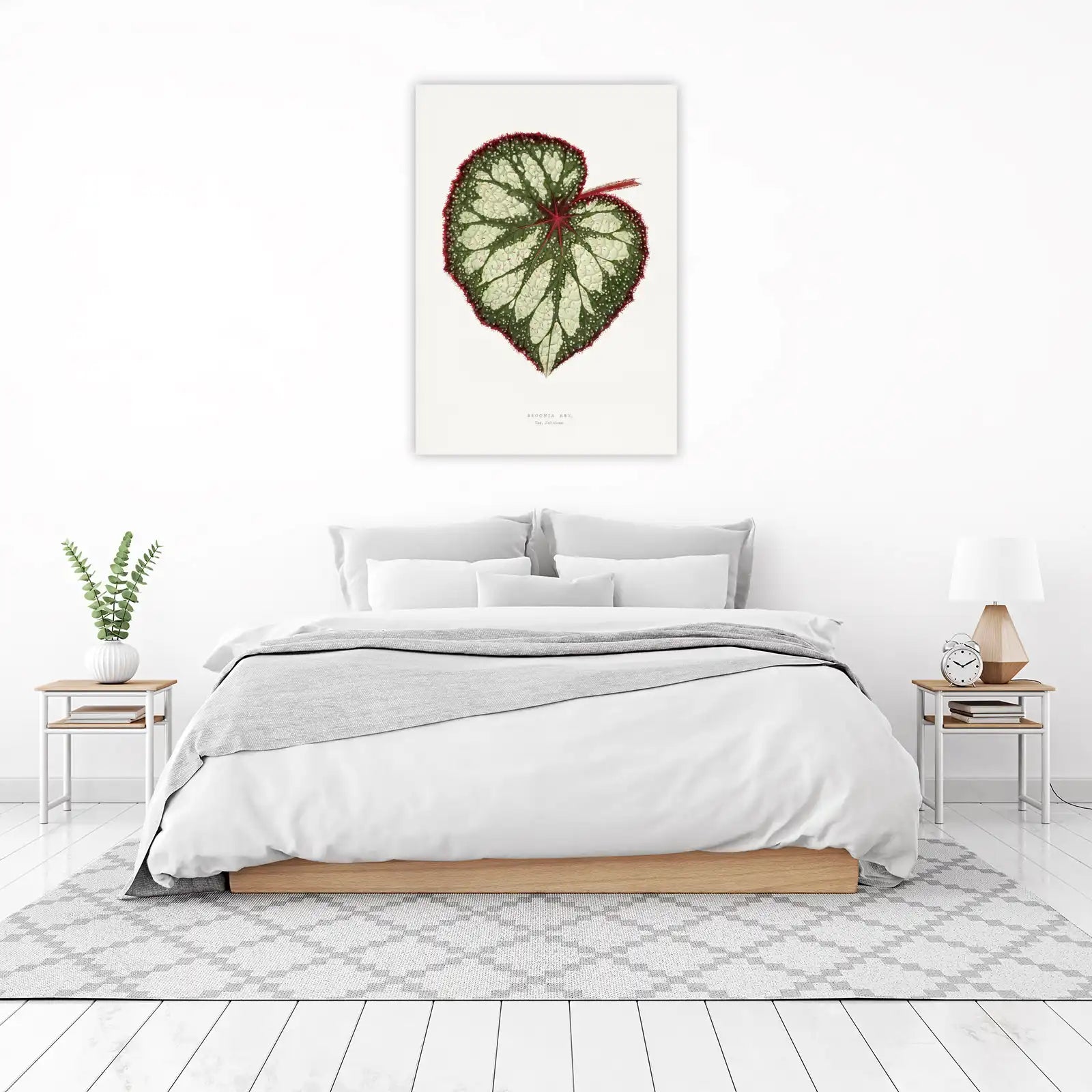 Botanical Begonia Rex Wall Art