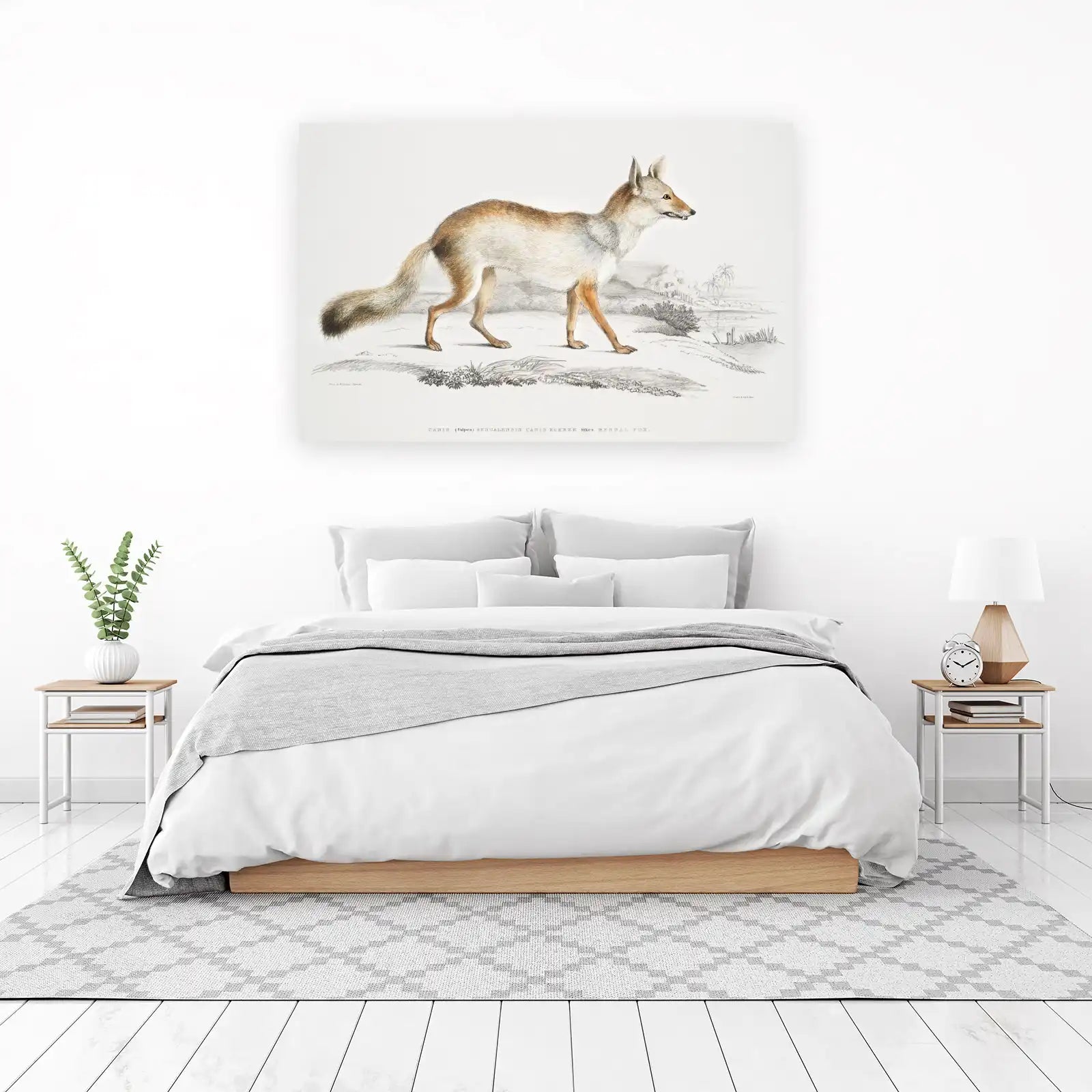 Vintage Bengal Fox Illustration Wall Art