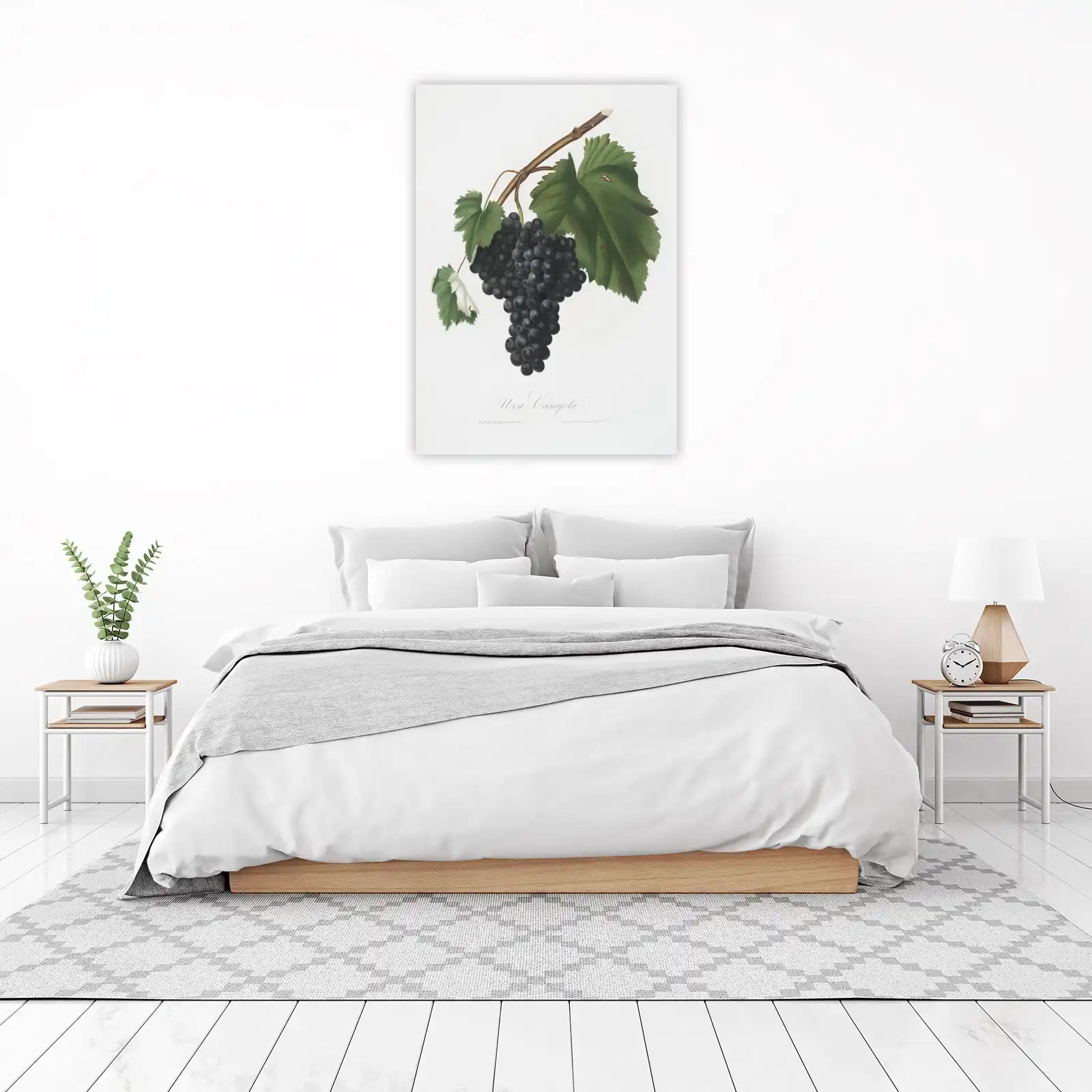 Vintage Grapes Botanical Art Wall Art