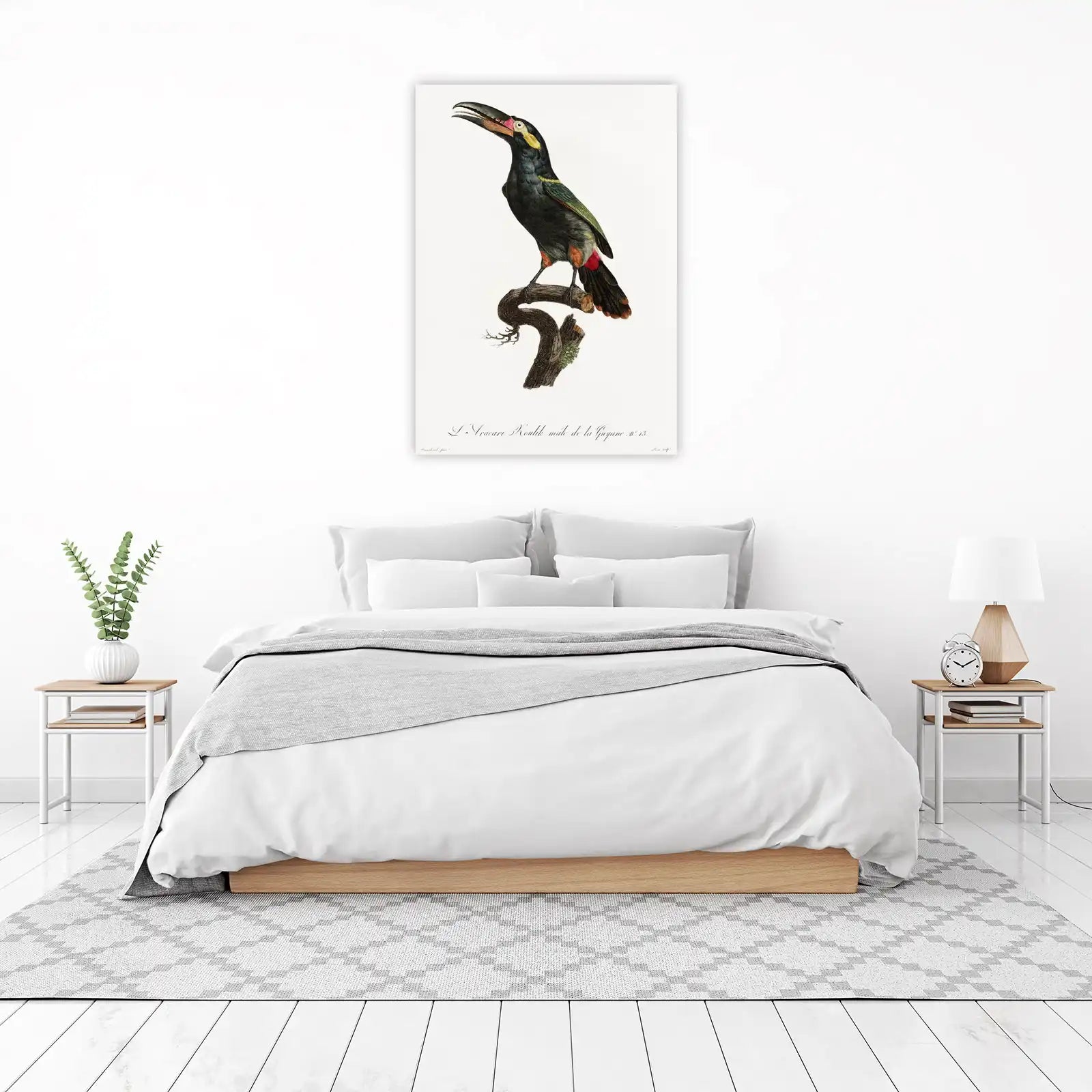 Exotic Toucan Bird Vintage Art Wall Art