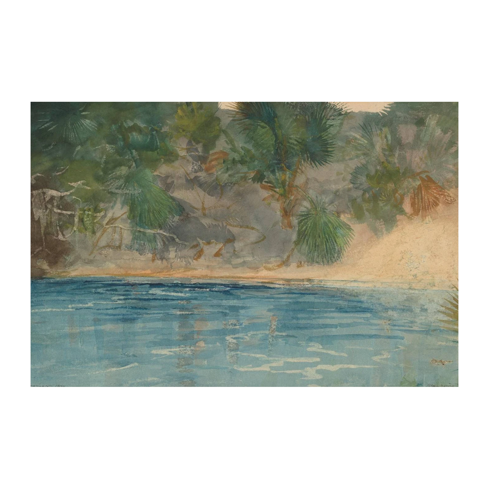Tranquil Tropical Beach Palm Wall Art