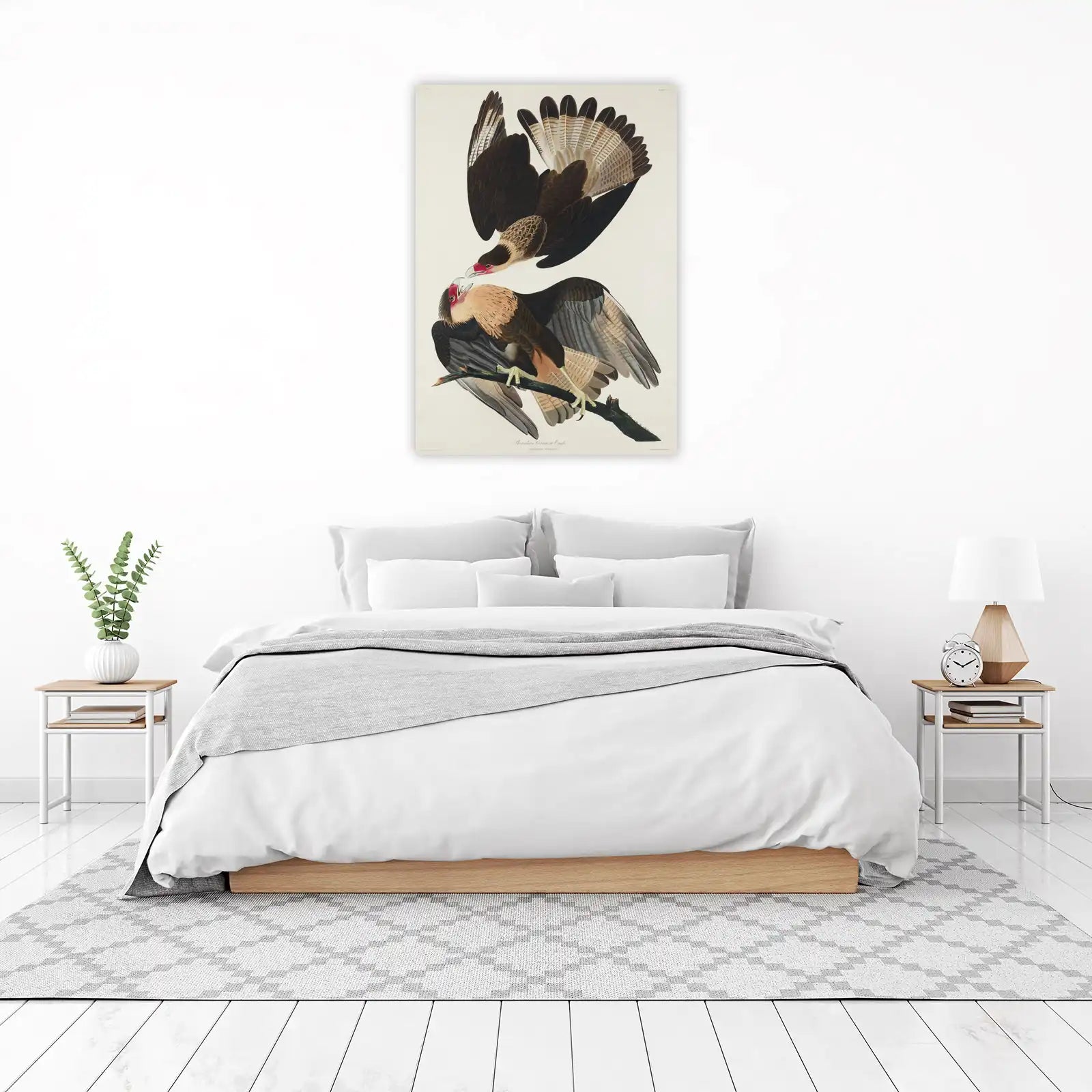 Exquisite Caracara Eagle Wall Art Wall Art