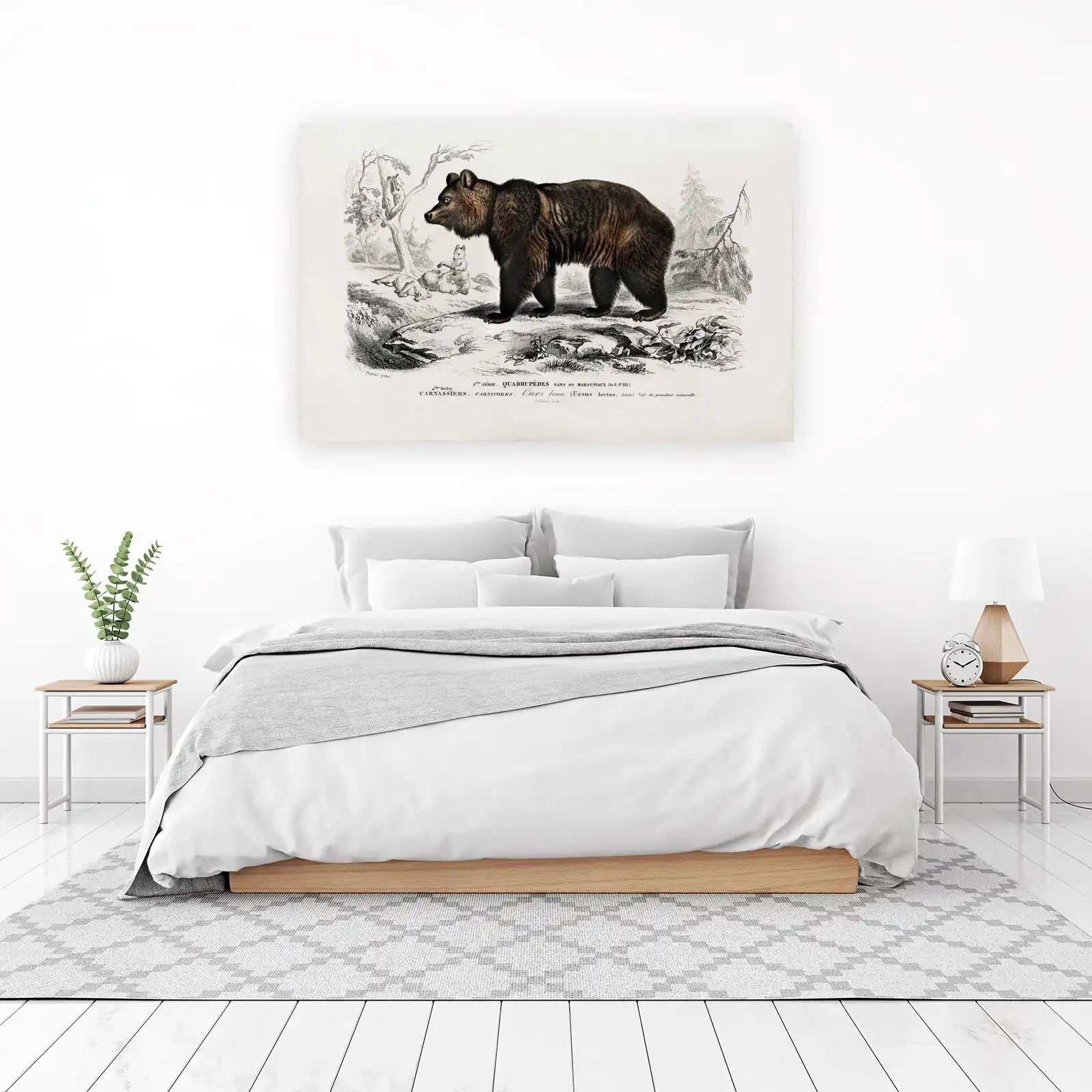 Majestic Brown Bear Woodland Scene Wall Art