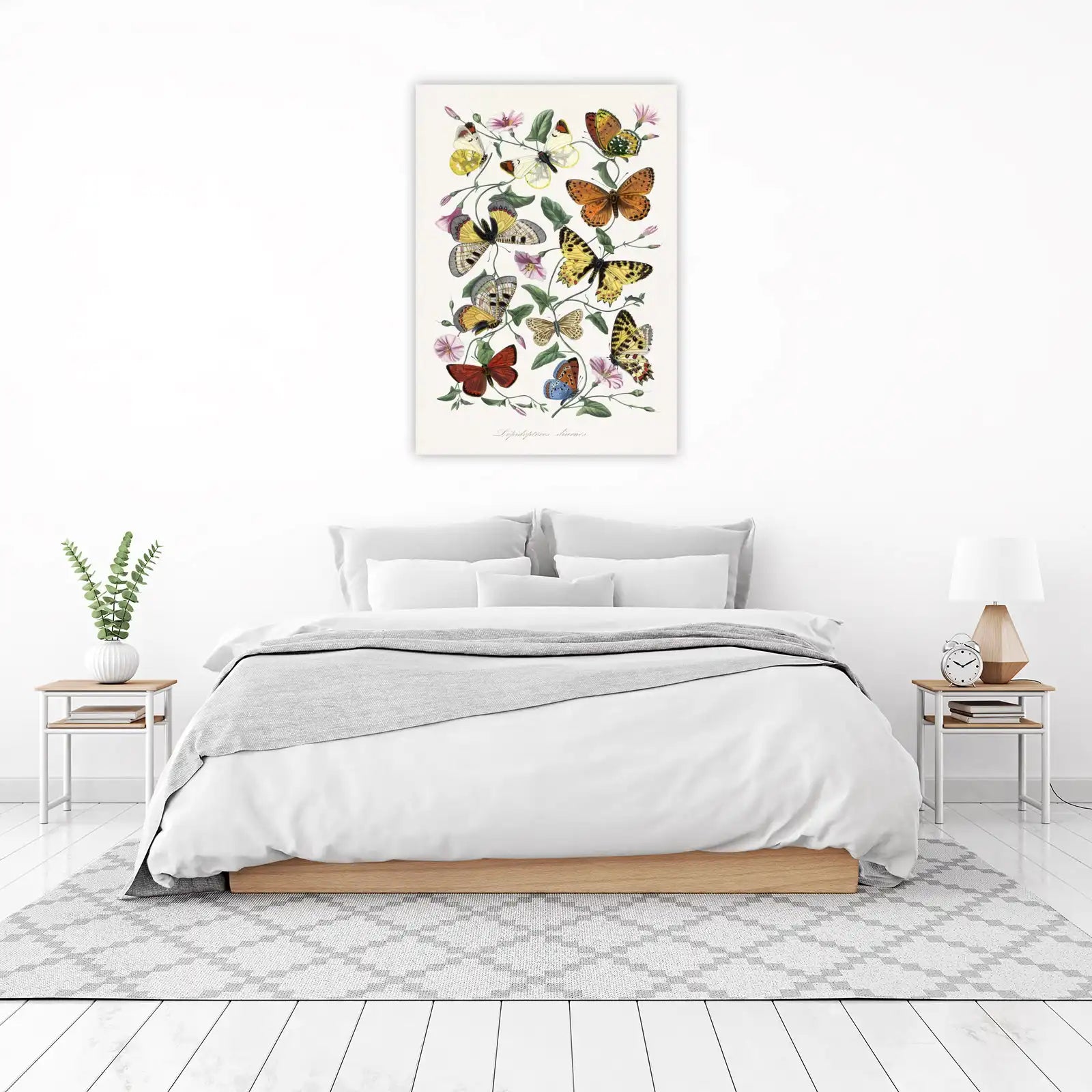 Vintage Butterfly Botanical Art Wall Art