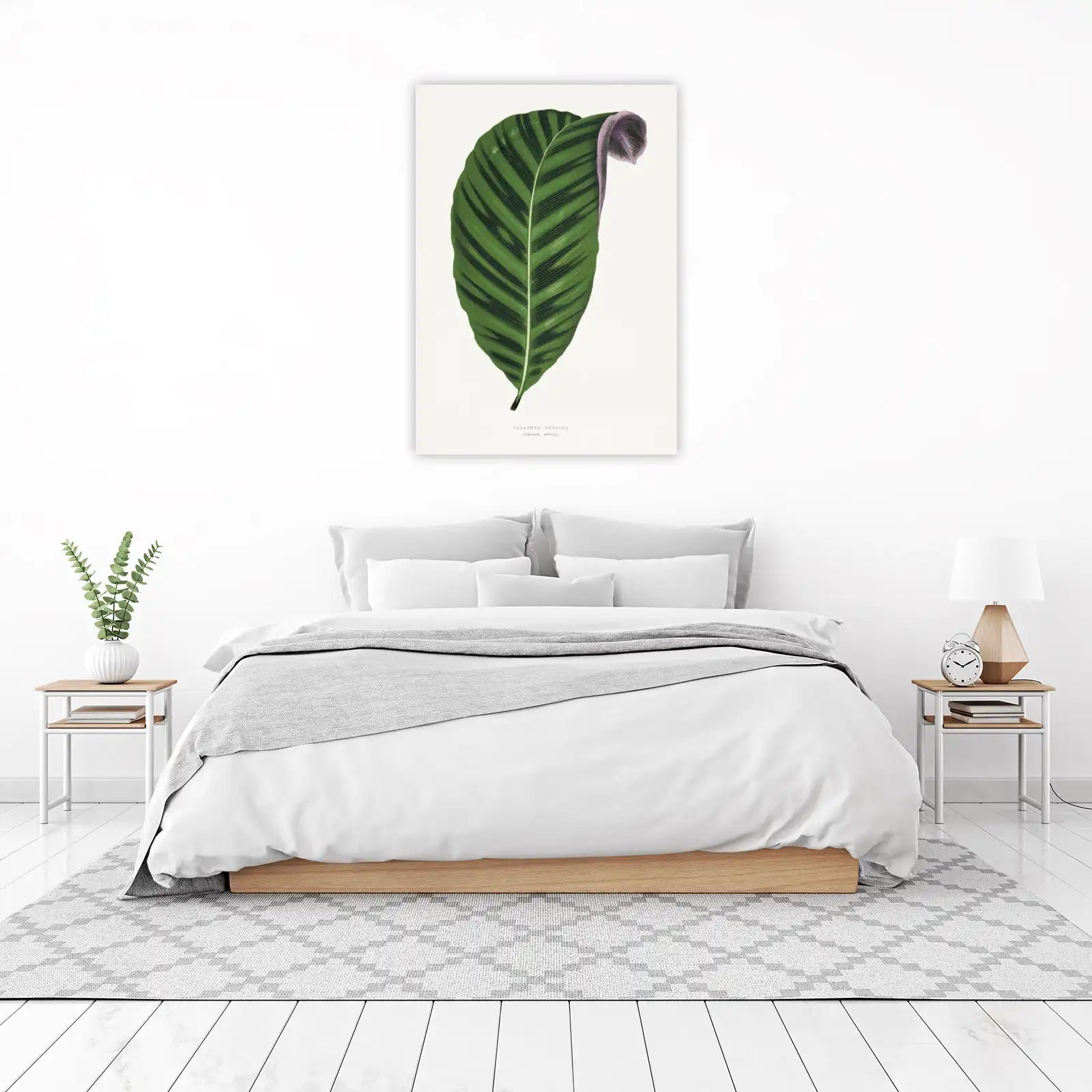 Calathea Zebrina Botanical Leaf Wall Art