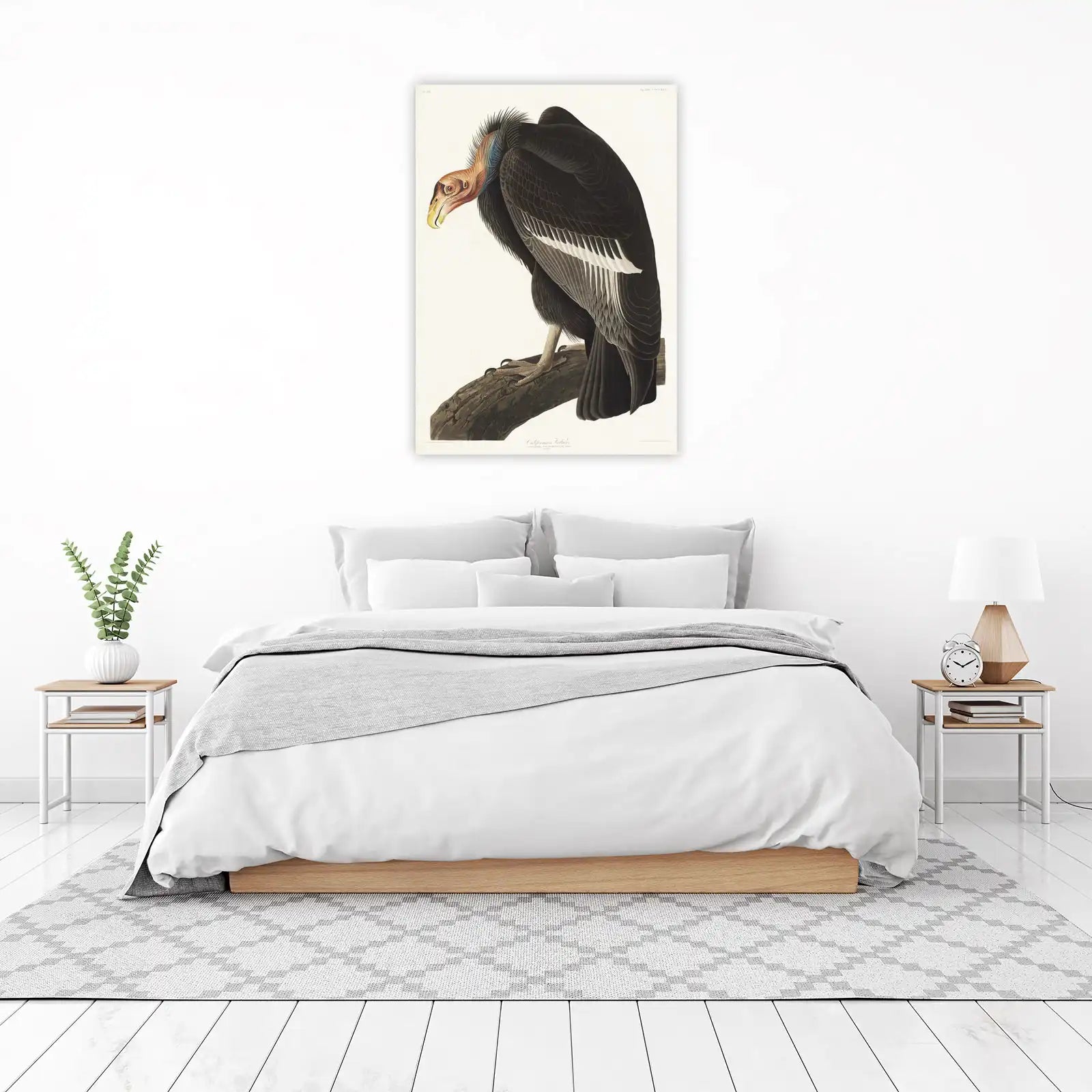 California Vulture Vintage Bird Art Wall Art