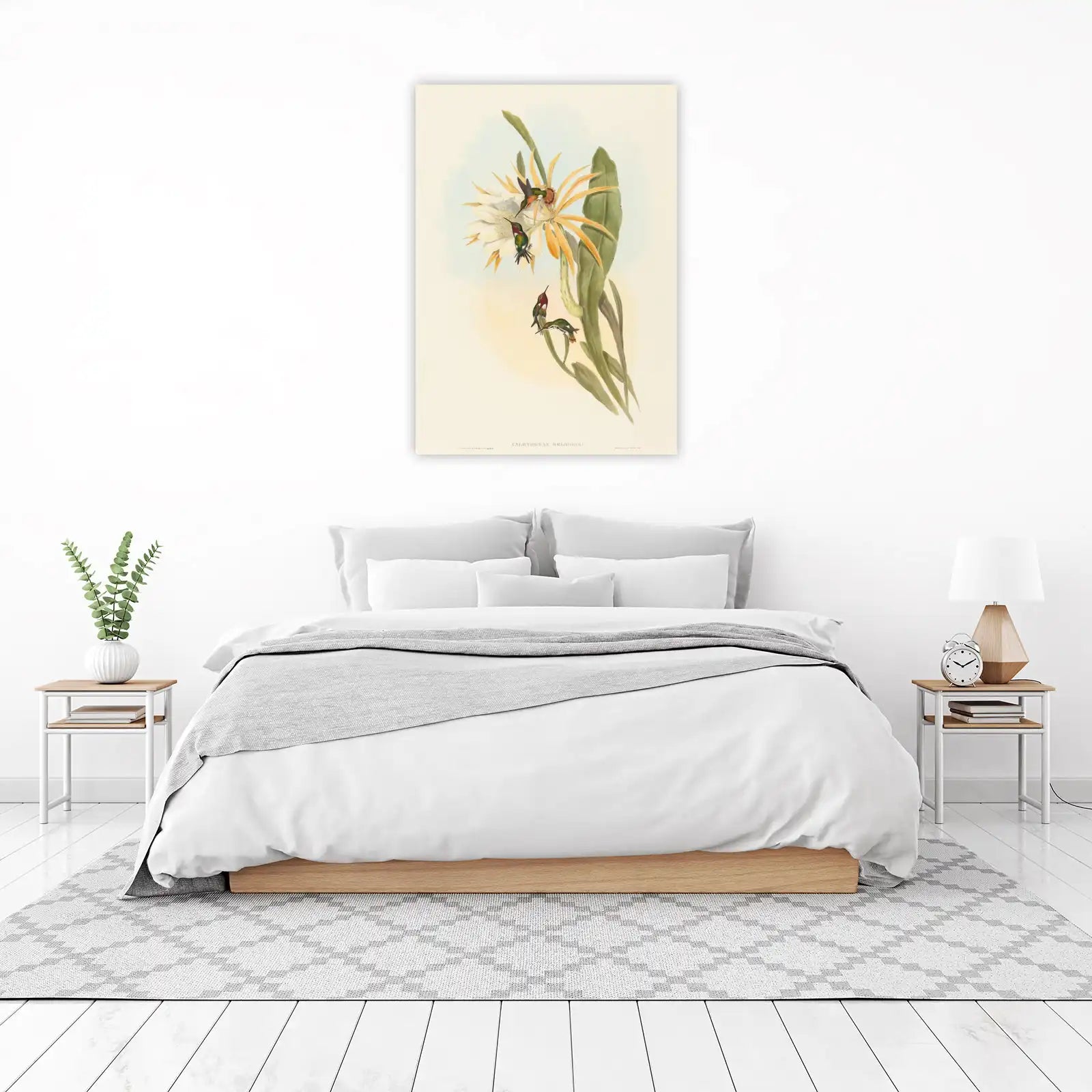 Hummingbird & Flower Vintage Botanical Wall Art