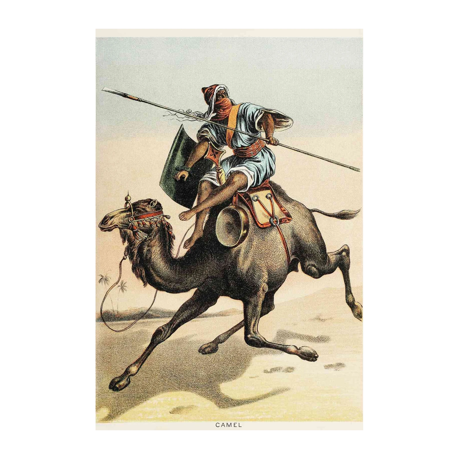Desert Warrior Camel Rider Wall Art
