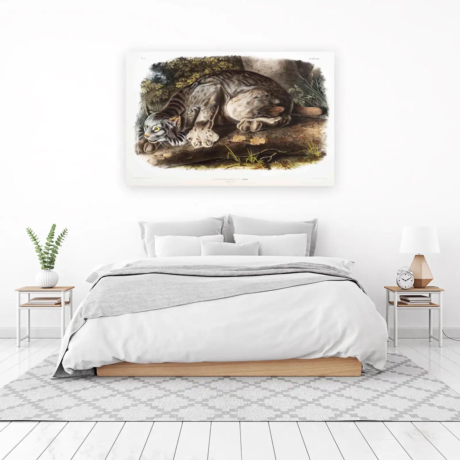 Canadian Lynx Majestic Wildlife Wall Art