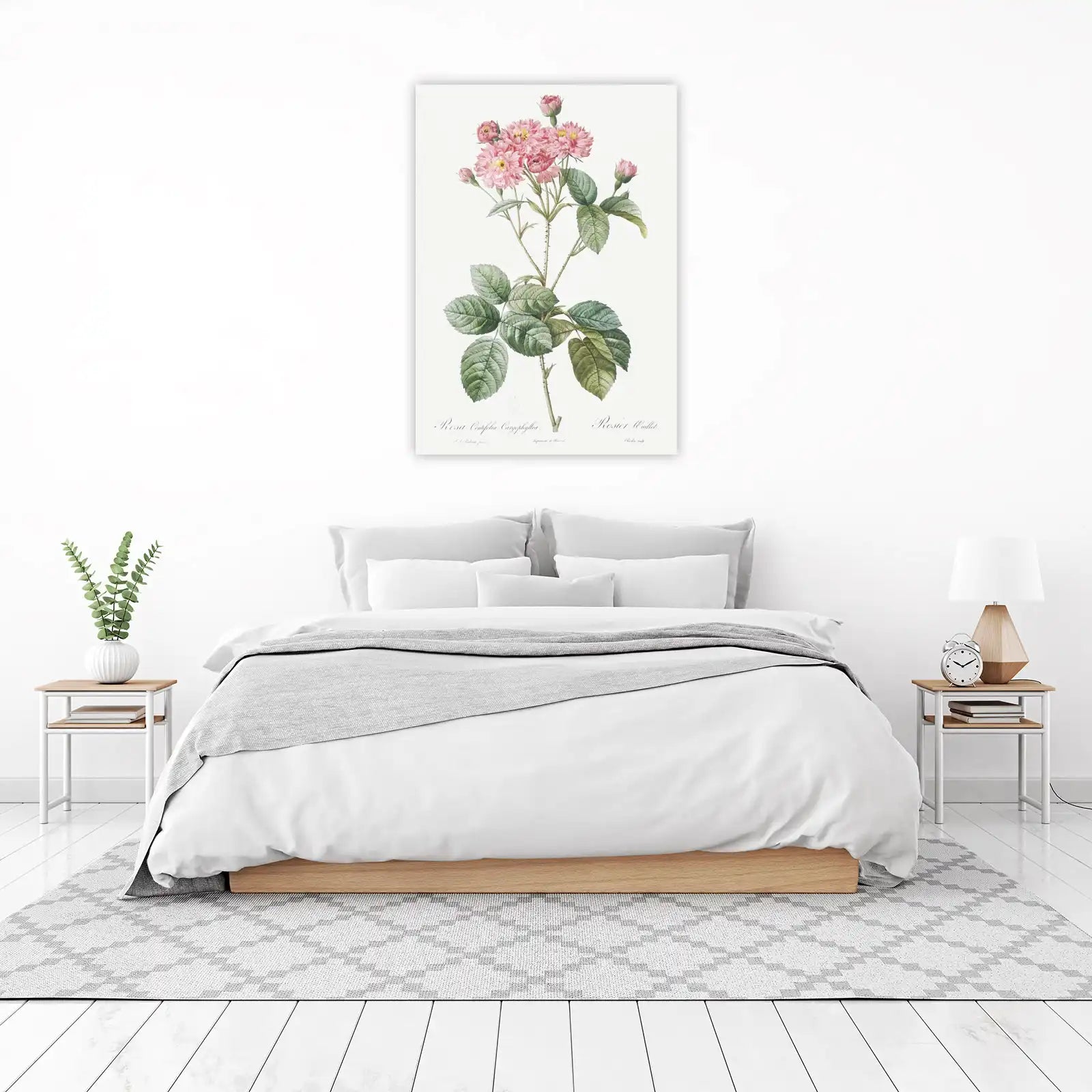 Vintage Pink Rose Botanical Art Wall Art
