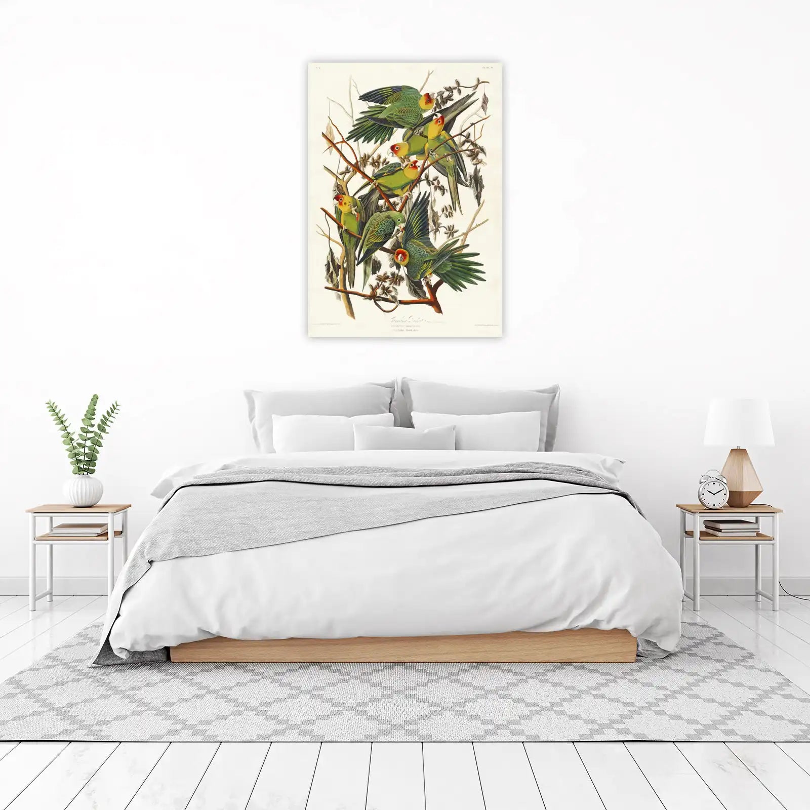 Exotic Carolina Parrot Flock Wall Art