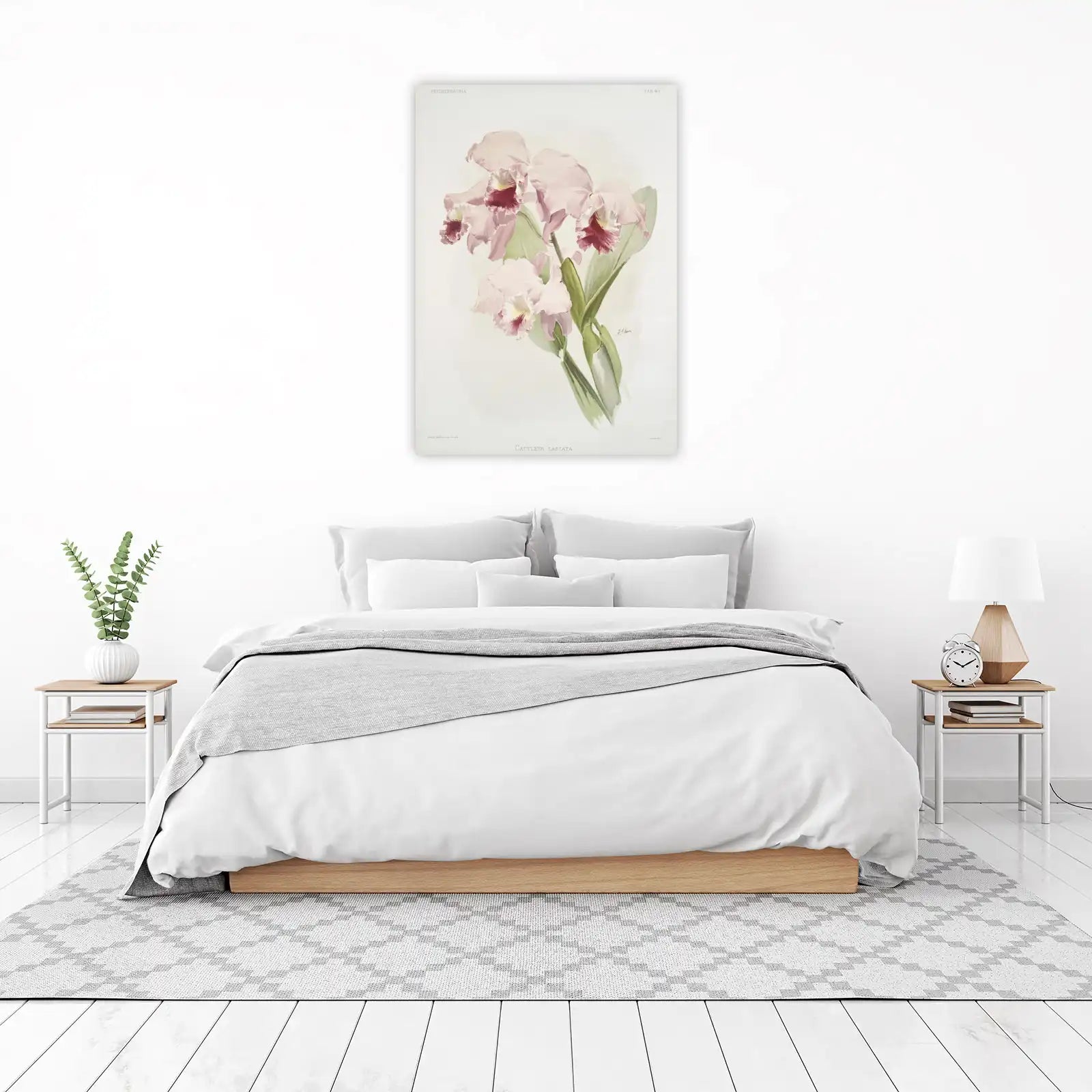 Pink Cattleya Labiata Orchid Vintage Botanical Wall Art
