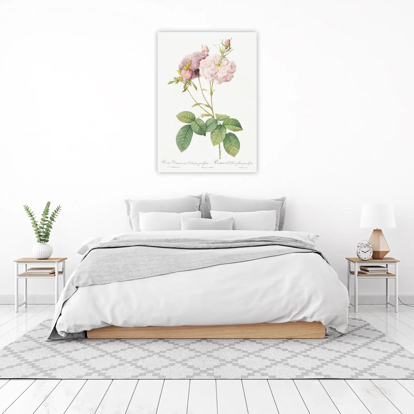 Vintage Rose Botanical Art Wall Art