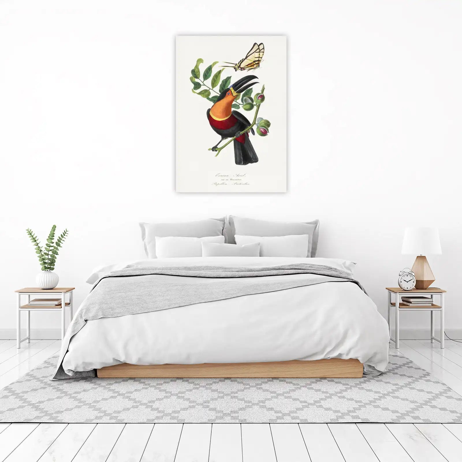 Vibrant Toucan & Butterfly Vintage Botanical Wall Art