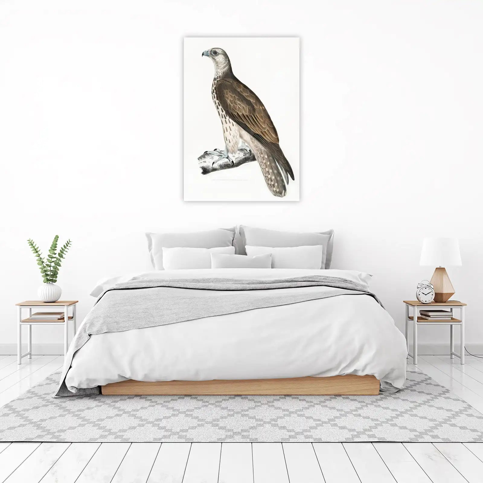 Elegant Cherrug Falcon Art Wall Art