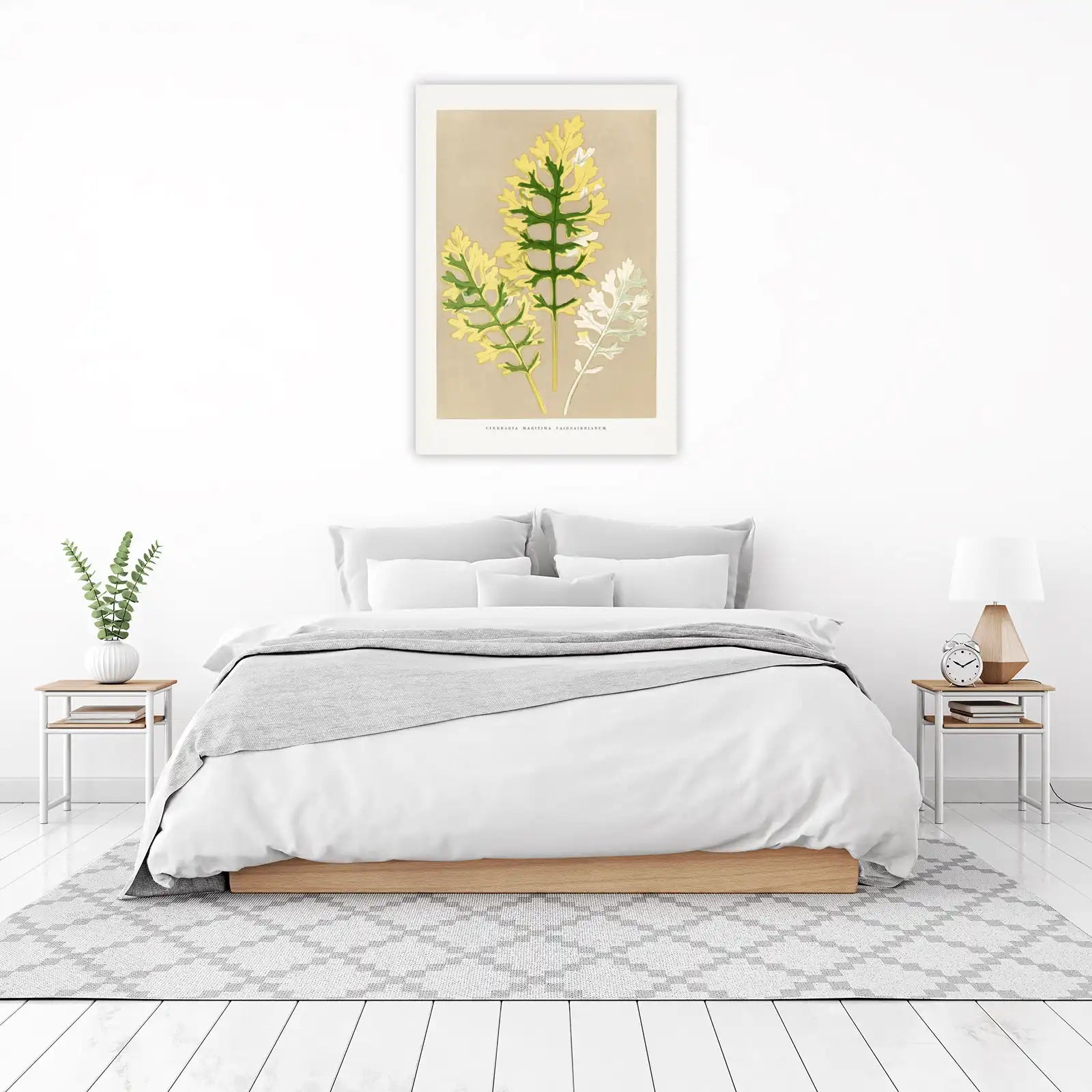Botanical Cineraria Maritima Wall Art