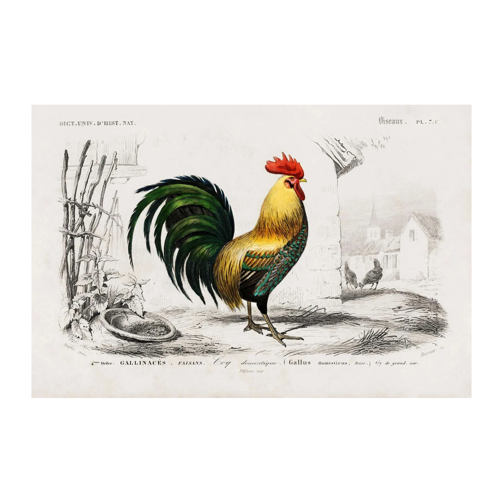 Vintage Rooster & Farmhouse Scene Wall Art