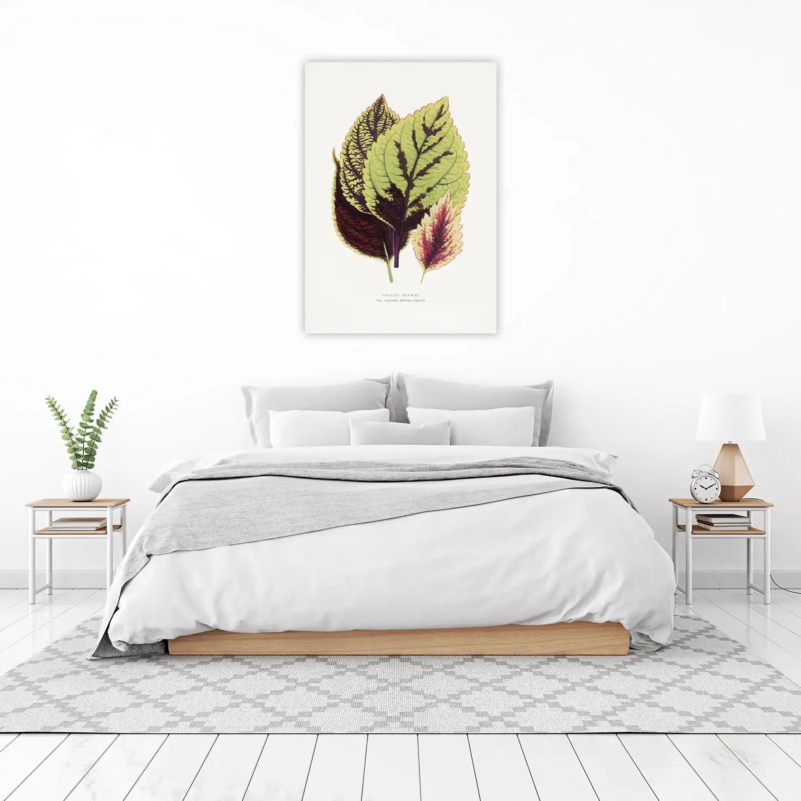 Botanical Coleus Blumei Wall Art