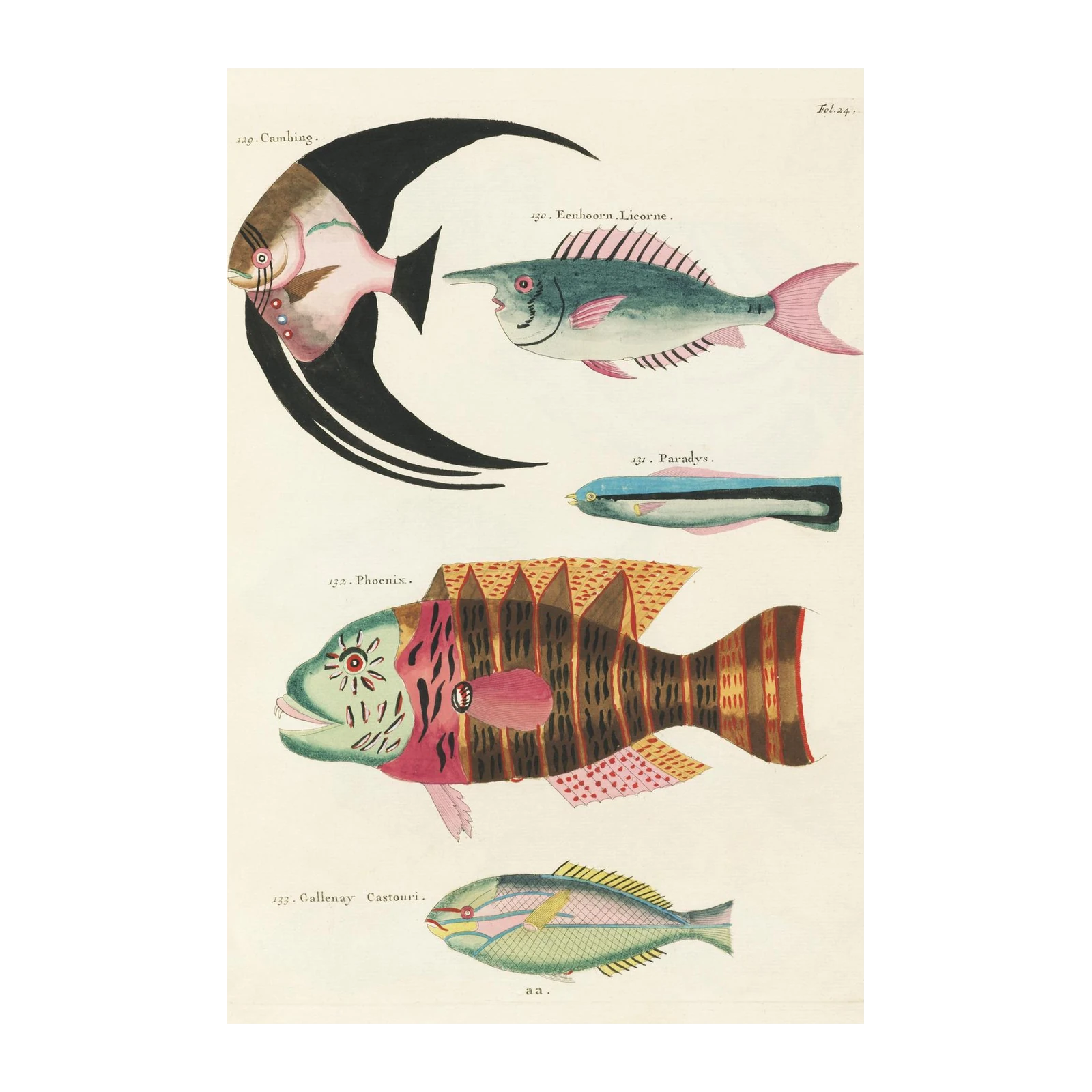 Vintage Exotic Fish Art Wall Art