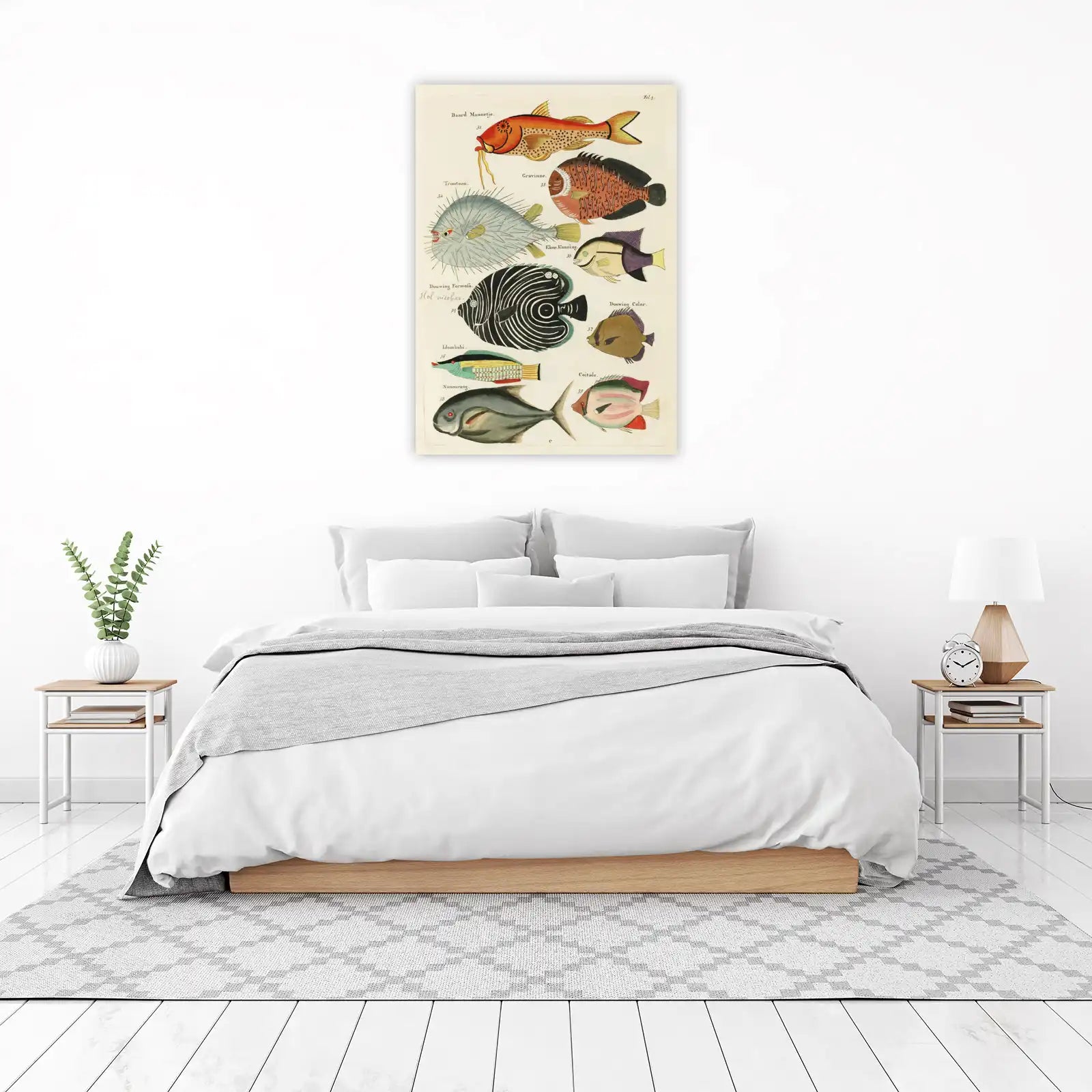 Vintage Fish Illustration Wall Art | Marine Life Art