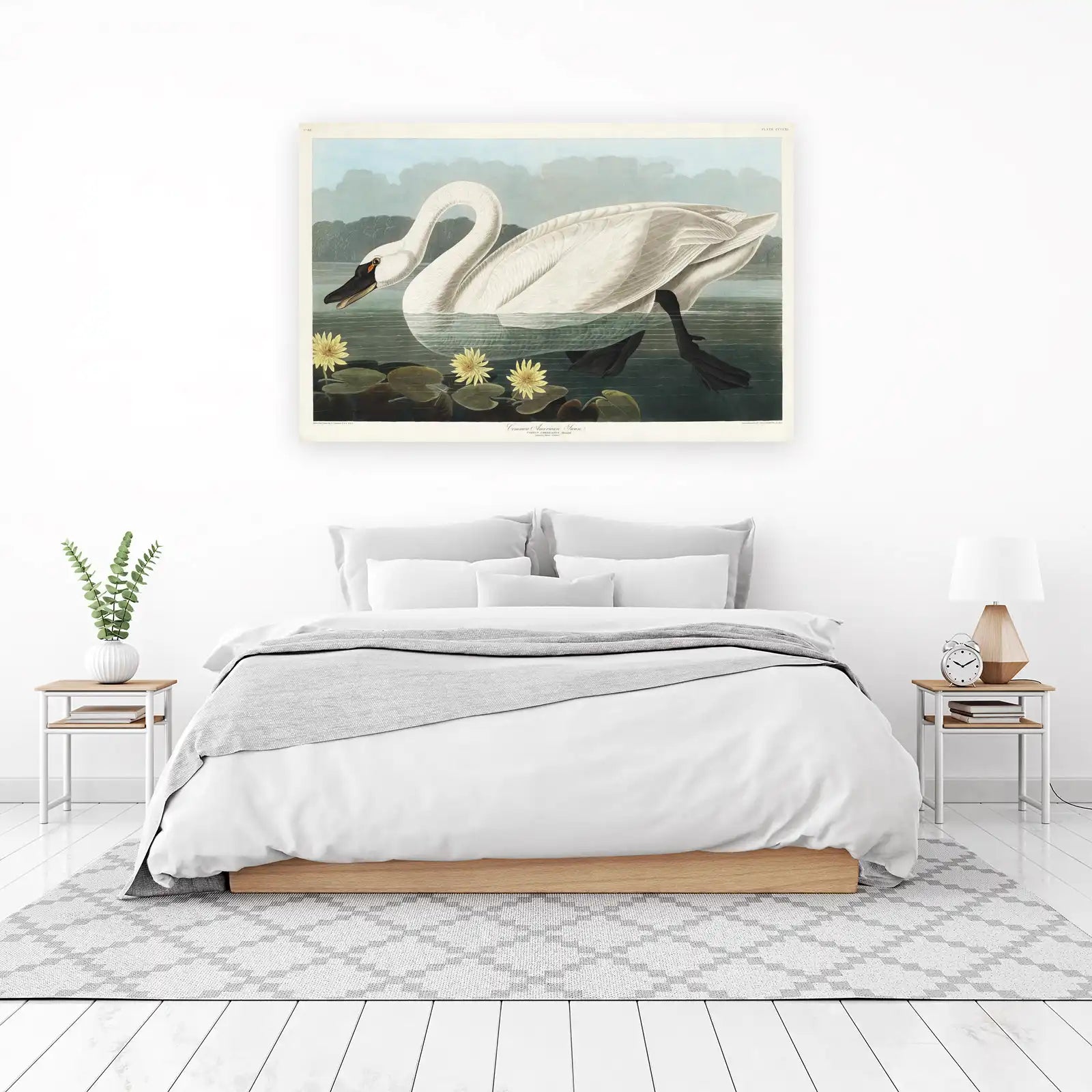 Elegant Swan Serenity Wall Art