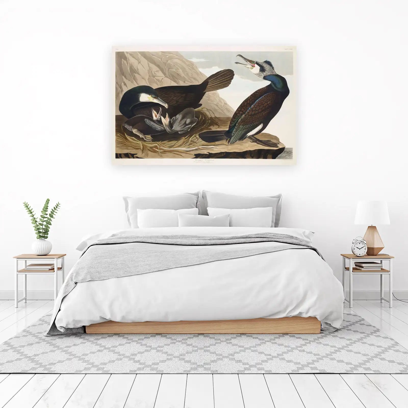 Audubon Common Cormorant Wall Art
