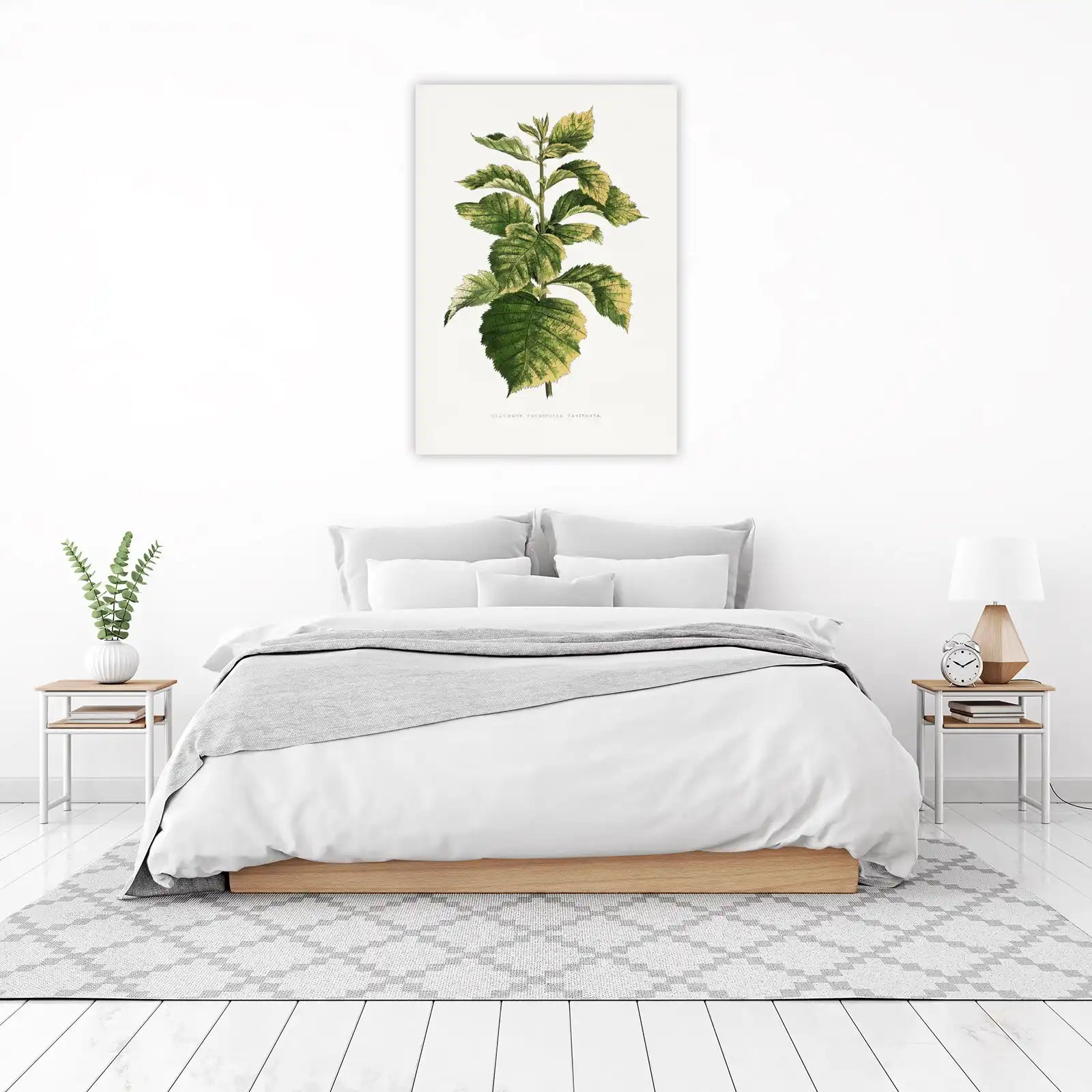 Variegated Hawthorn Botanical Wall Art