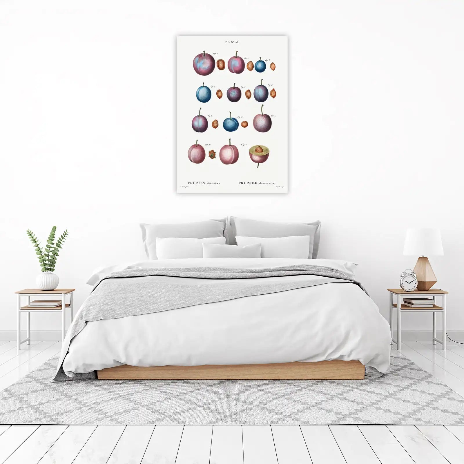 Vintage Plum Botanical Art Wall Art