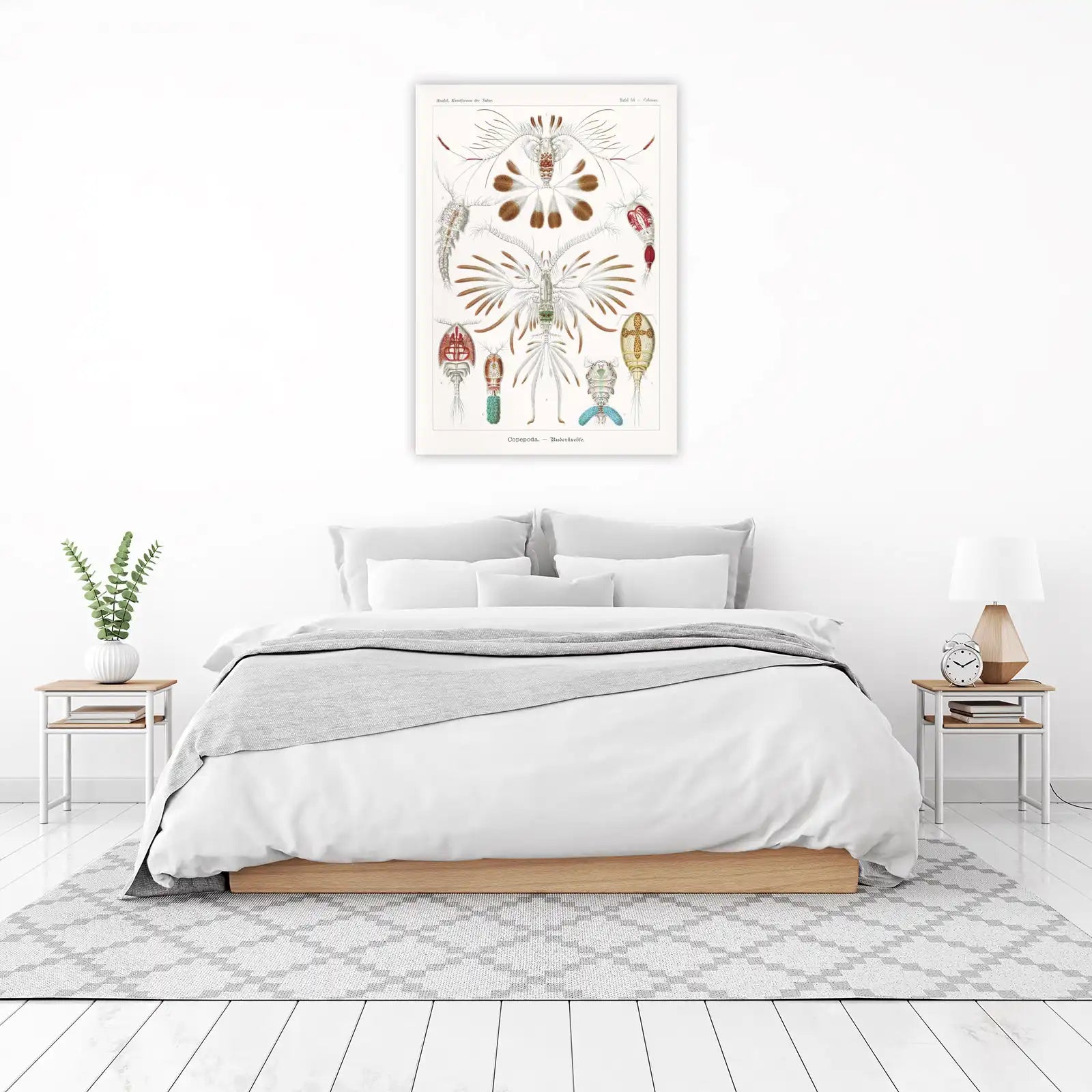 Vintage Copepoda Scientific Illustration Wall Art