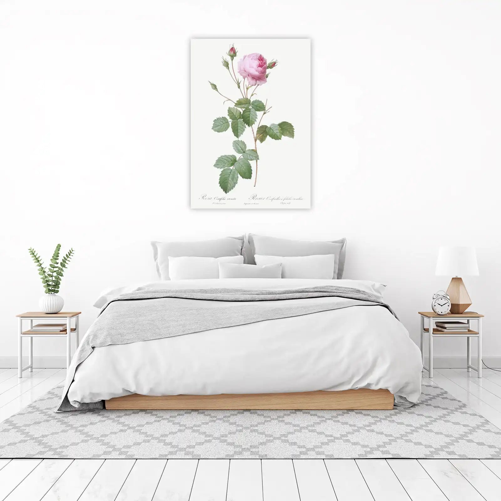 Vintage Pink Rose Botanical Wall Art Wall Art