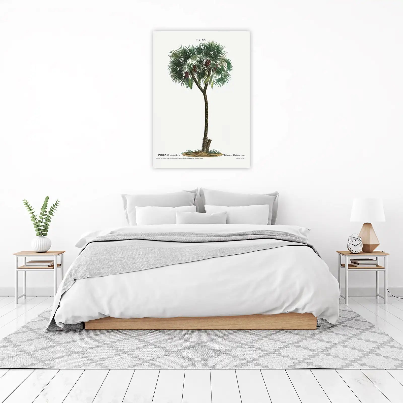 Vintage Phoenix Dactylifera Palm Wall Art