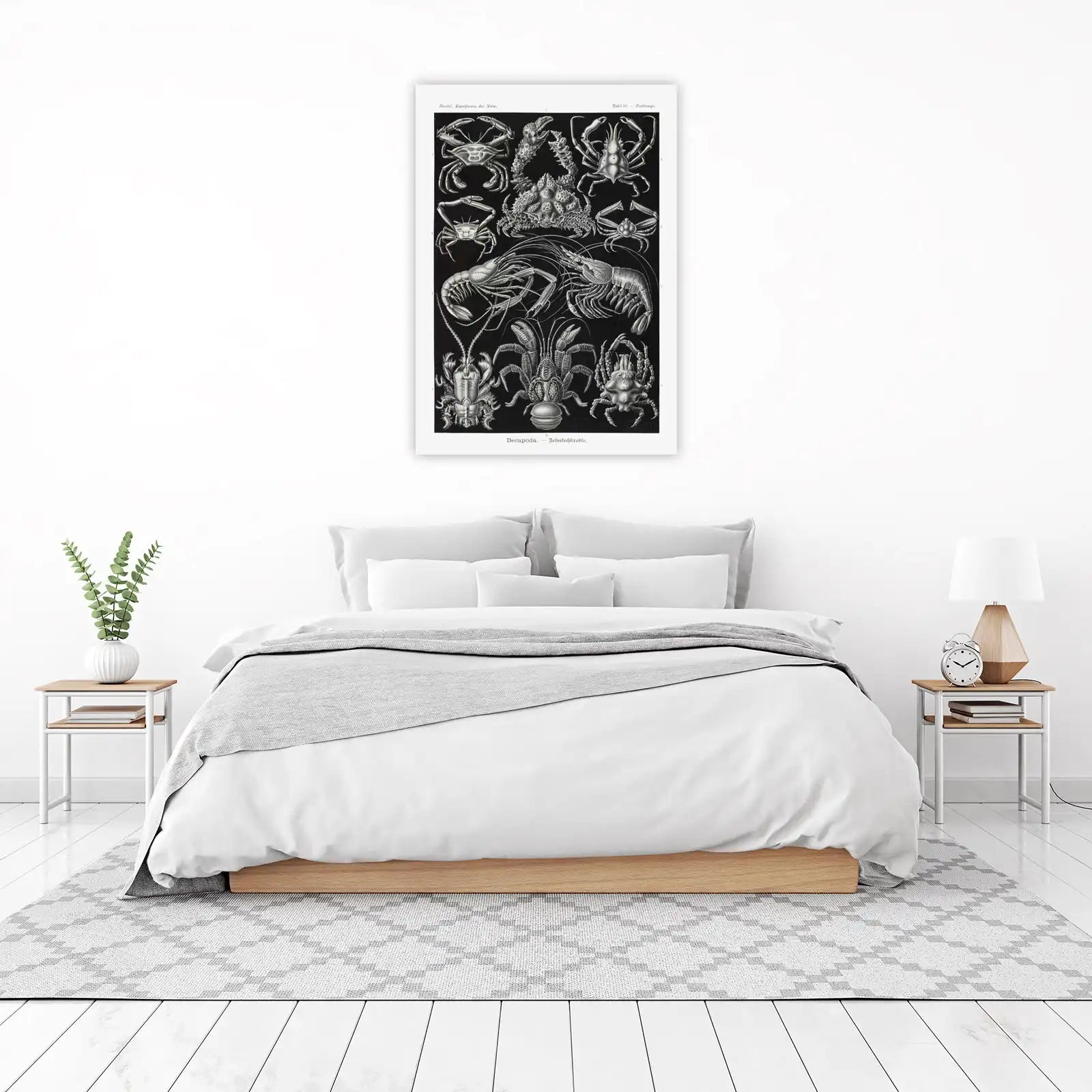 Vintage Marine Life Decapoda Wall Art