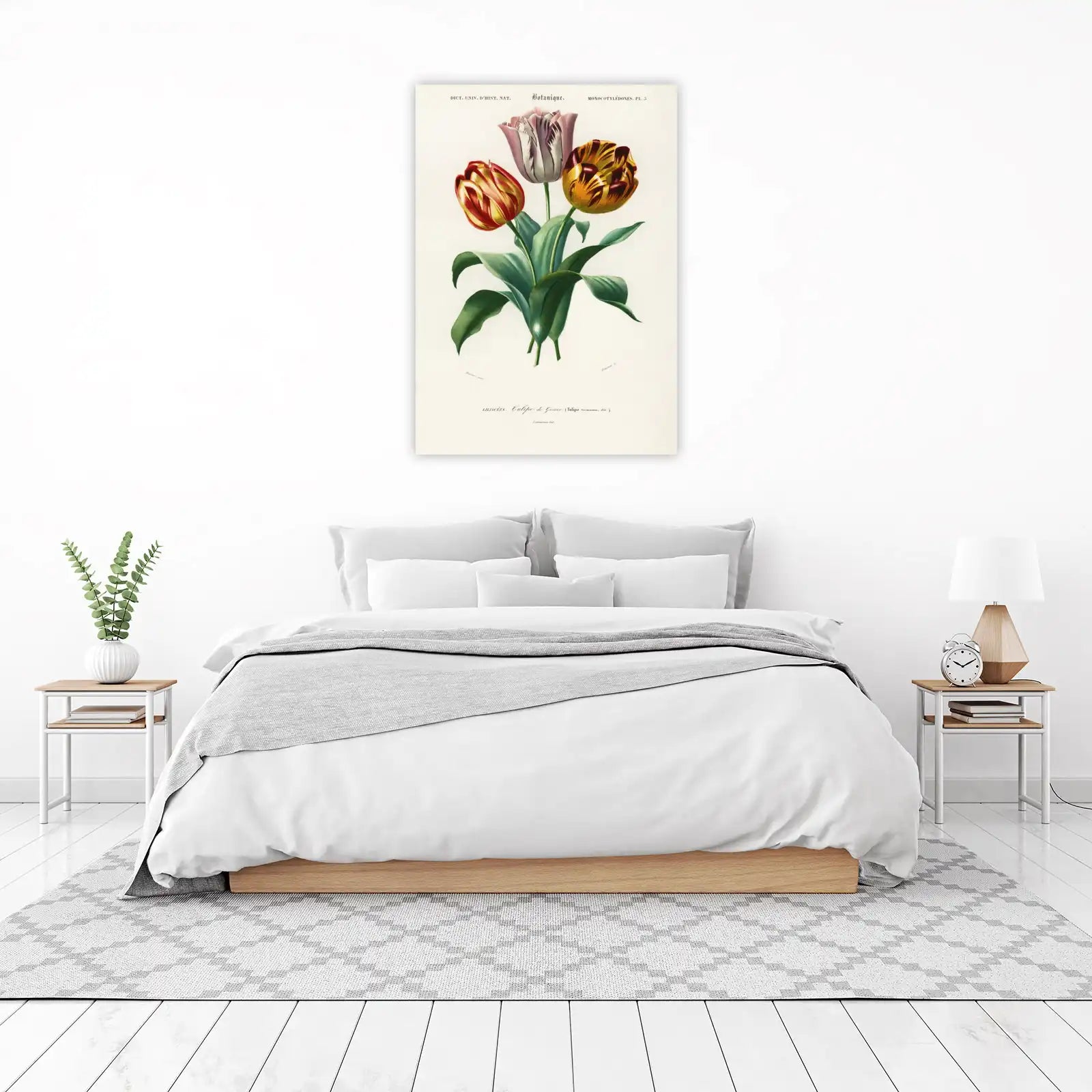 Vintage Botanical Tulip Wall Art